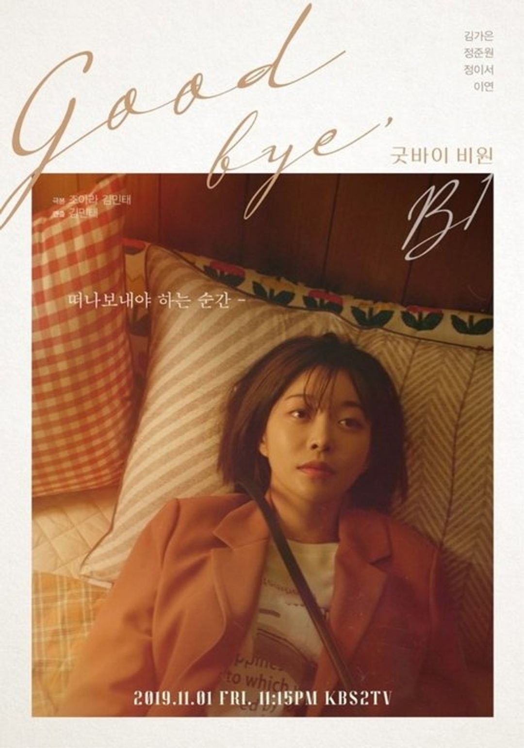 Poster image of Goodbye B1