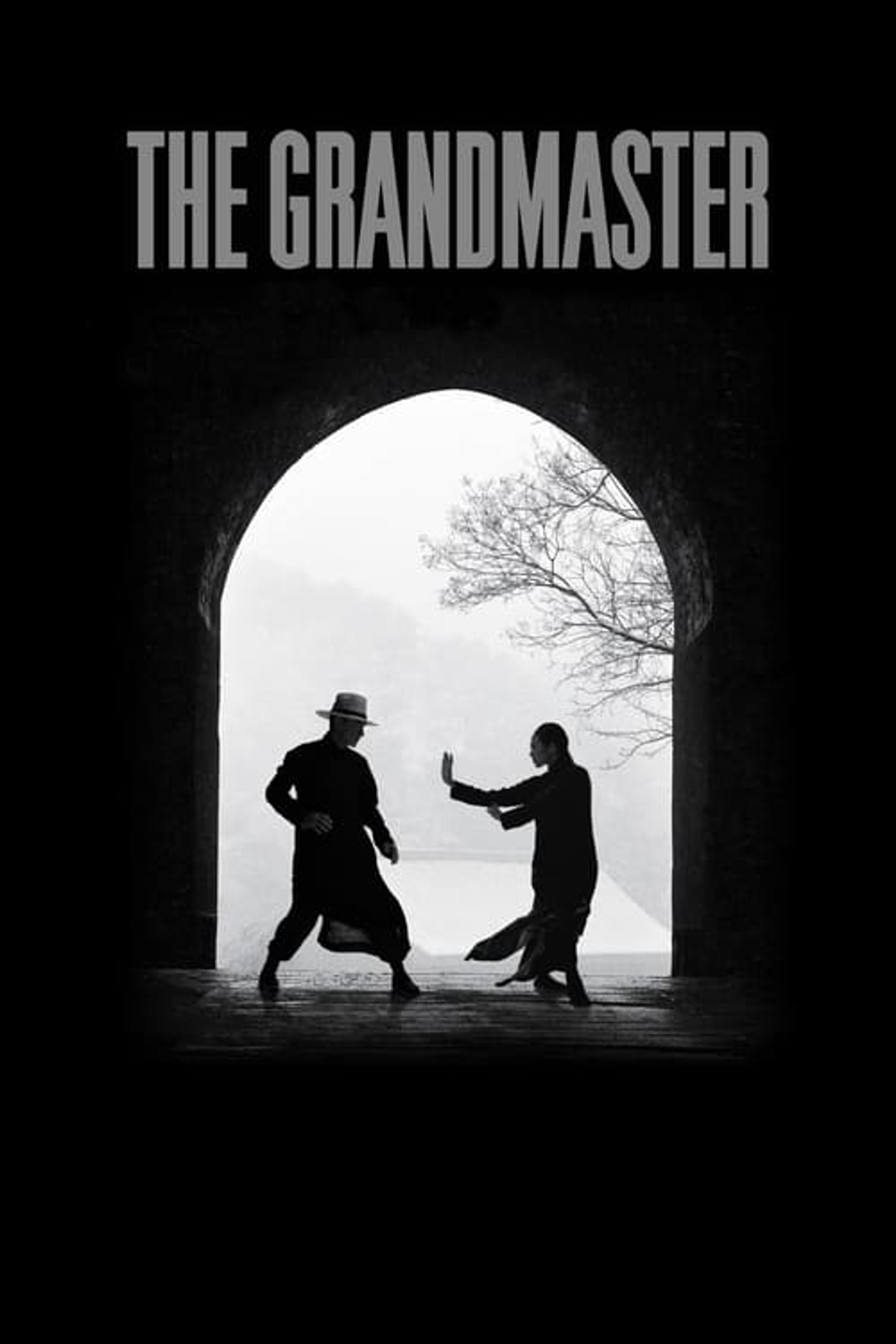 Poster image of The Grandmaster