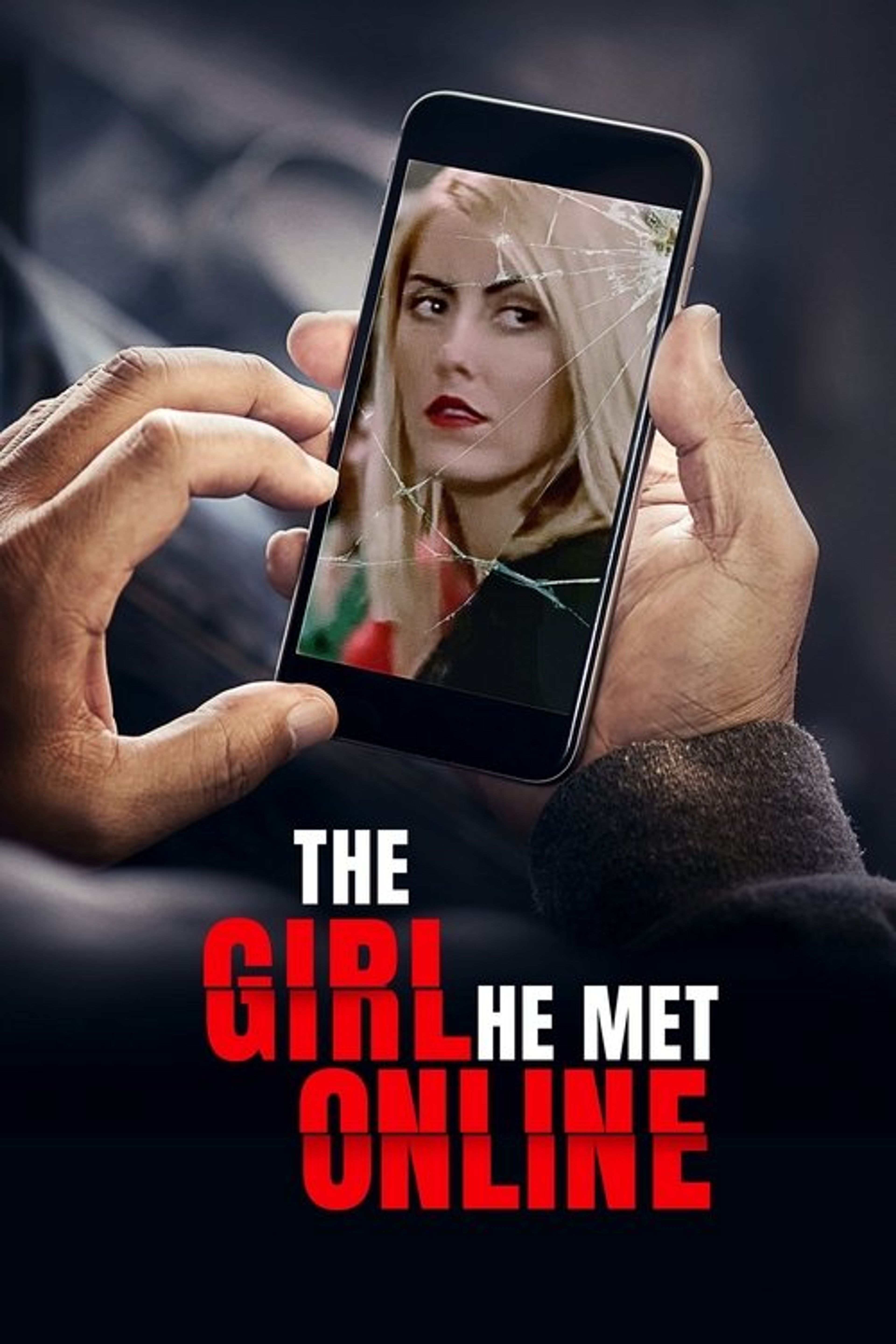 Poster image of The Girl He Met Online