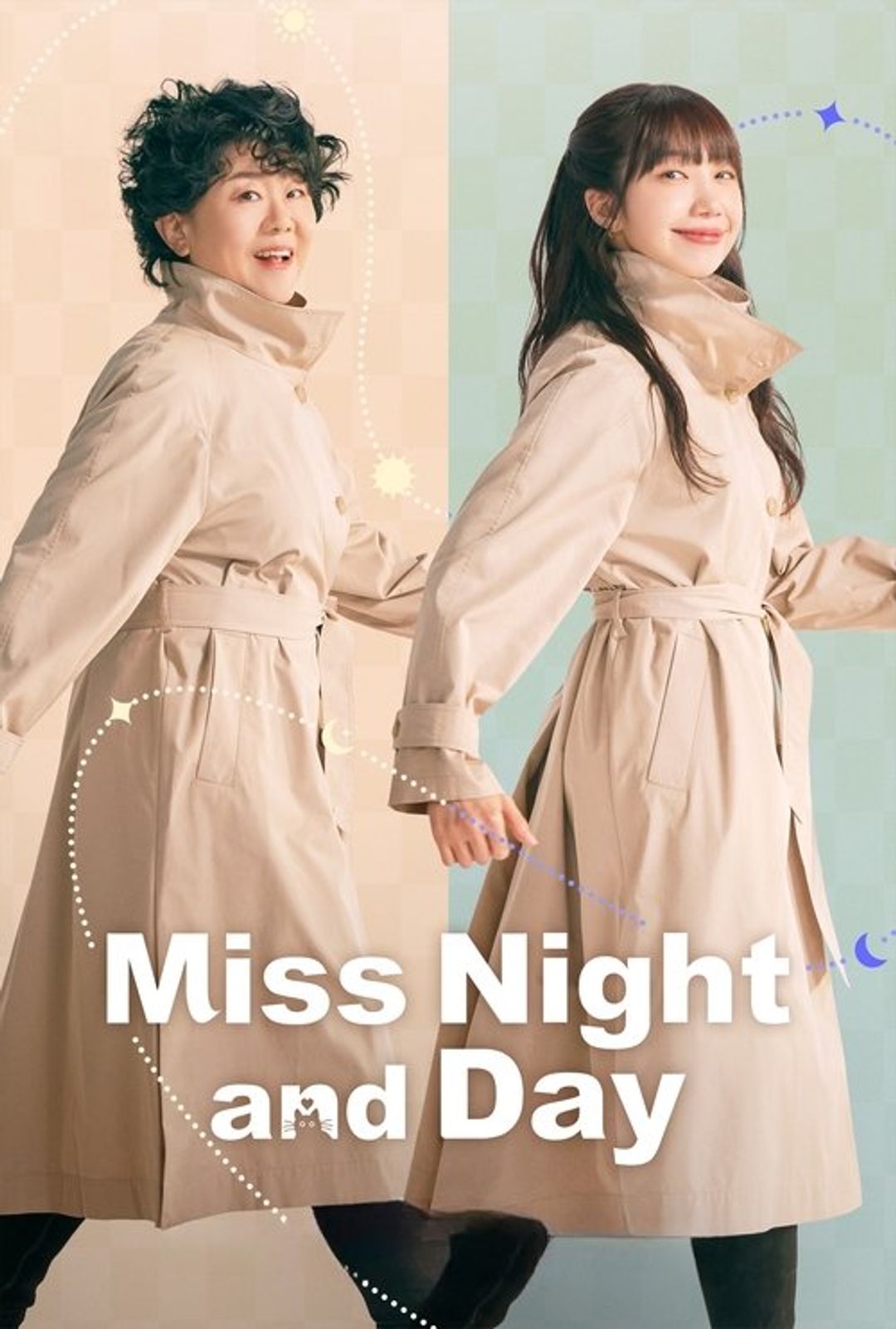 Poster image of Miss Night and Day