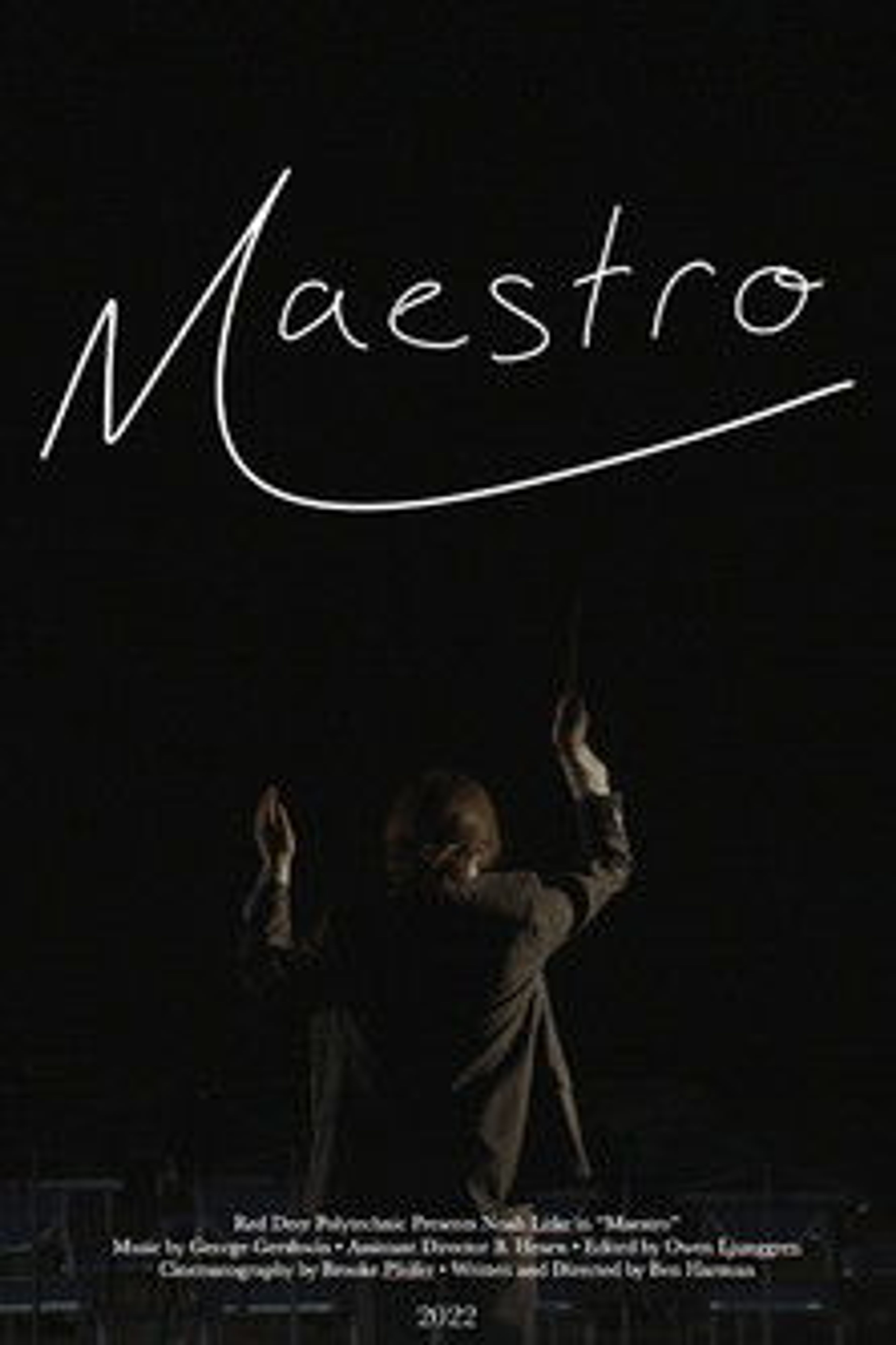 Poster image of Maestro