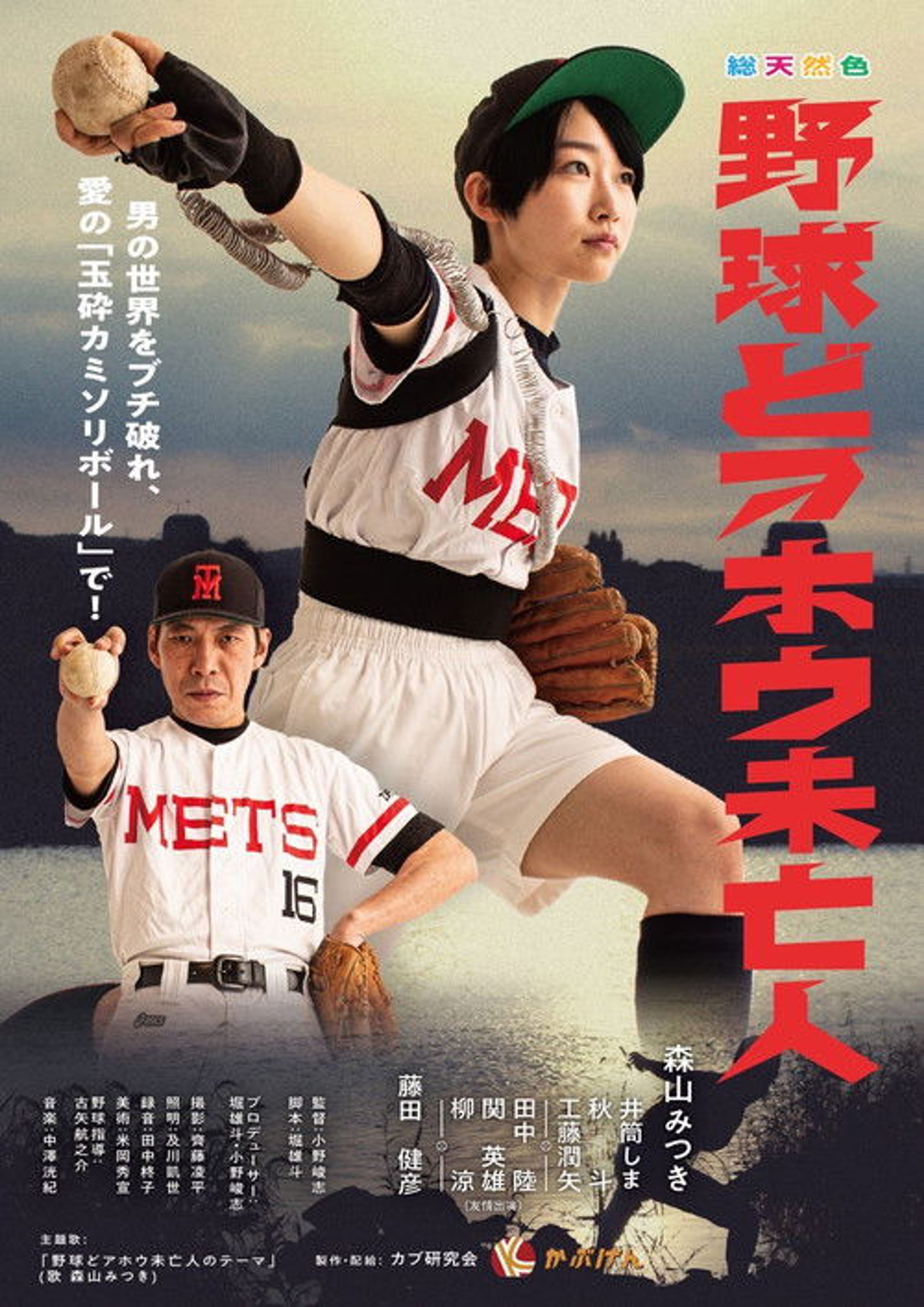 Poster image of Baseball Idiot Widow