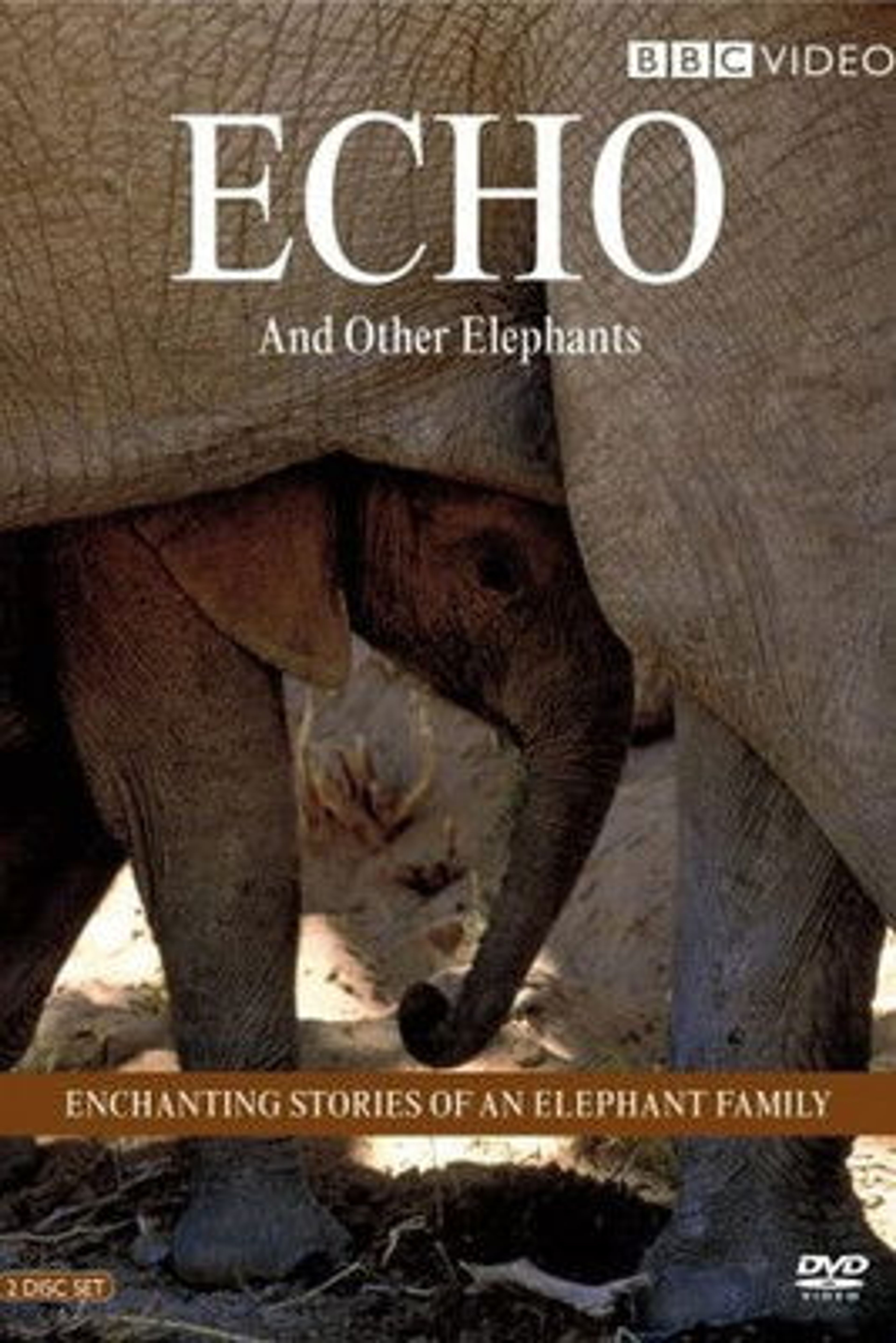 Poster image of Echo and Other Elephants