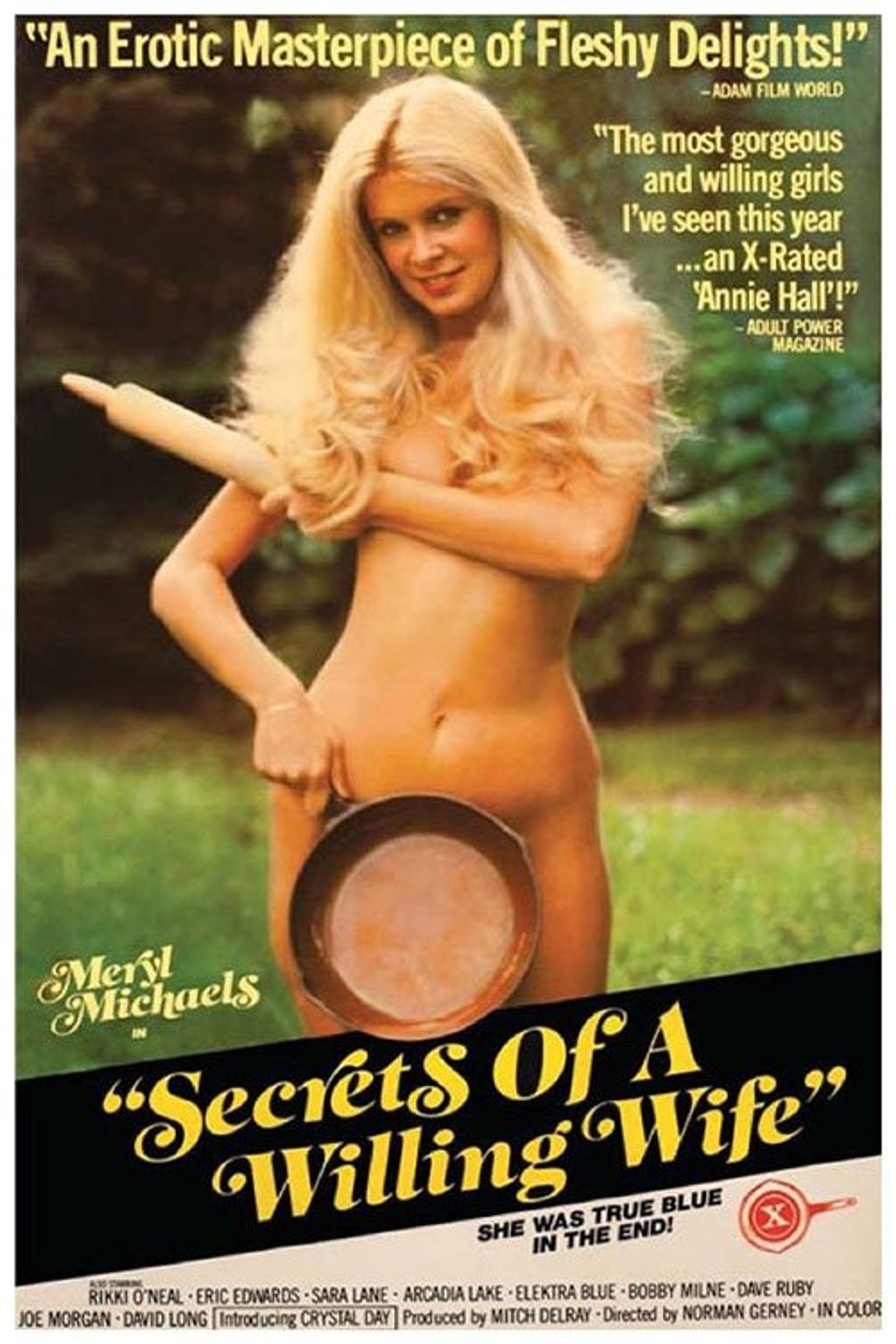 Poster image of Secrets of a Willing Wife