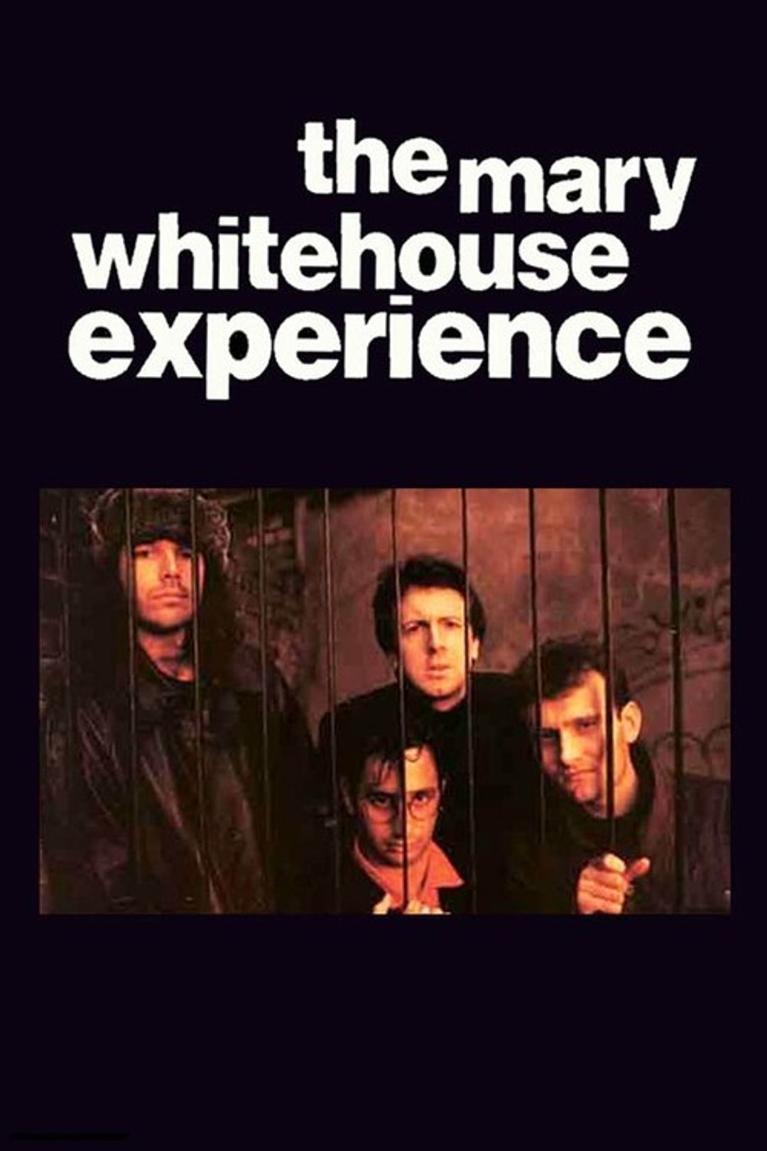 Poster image of The Mary Whitehouse Experience