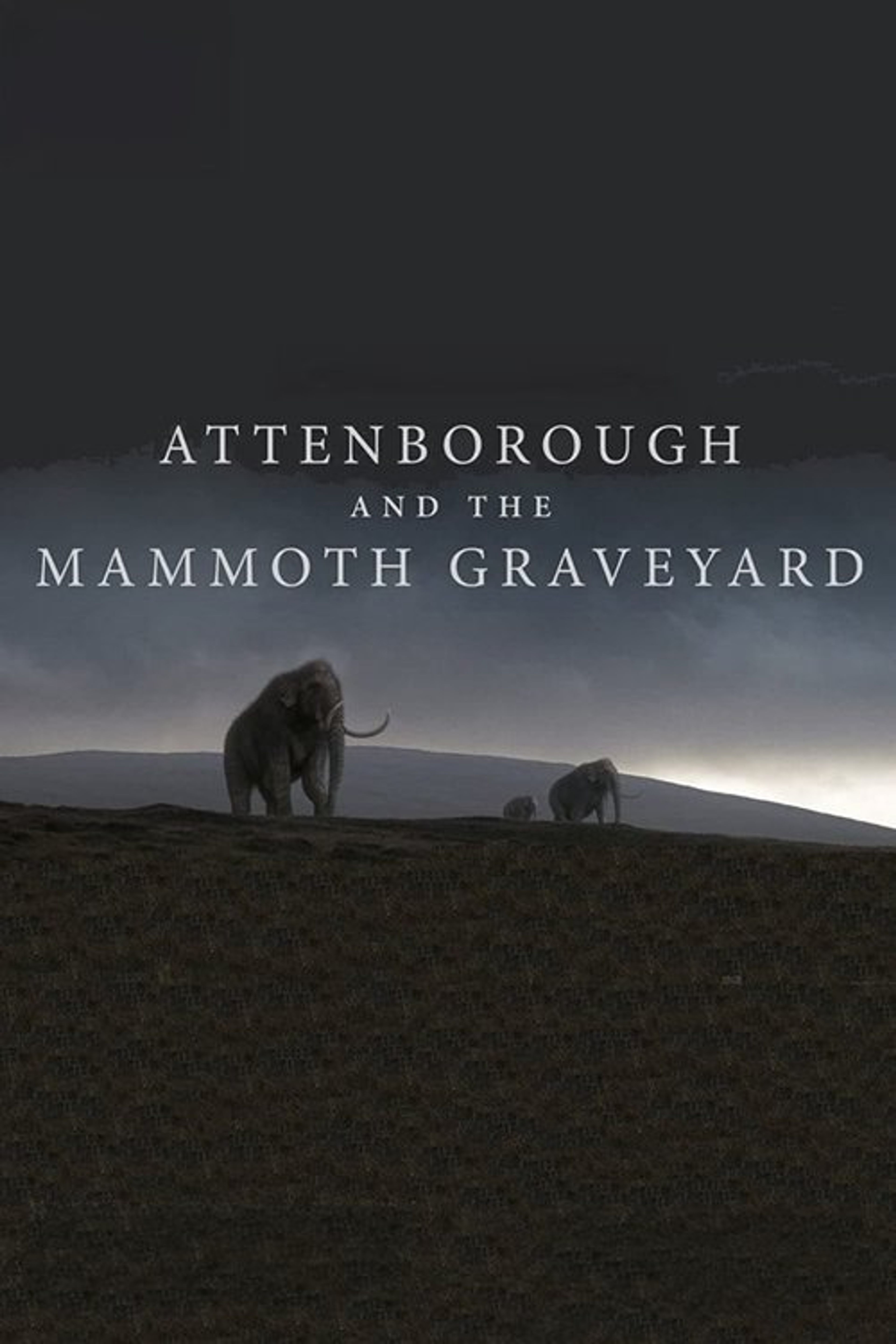 Poster image of Attenborough and the Mammoth Graveyard