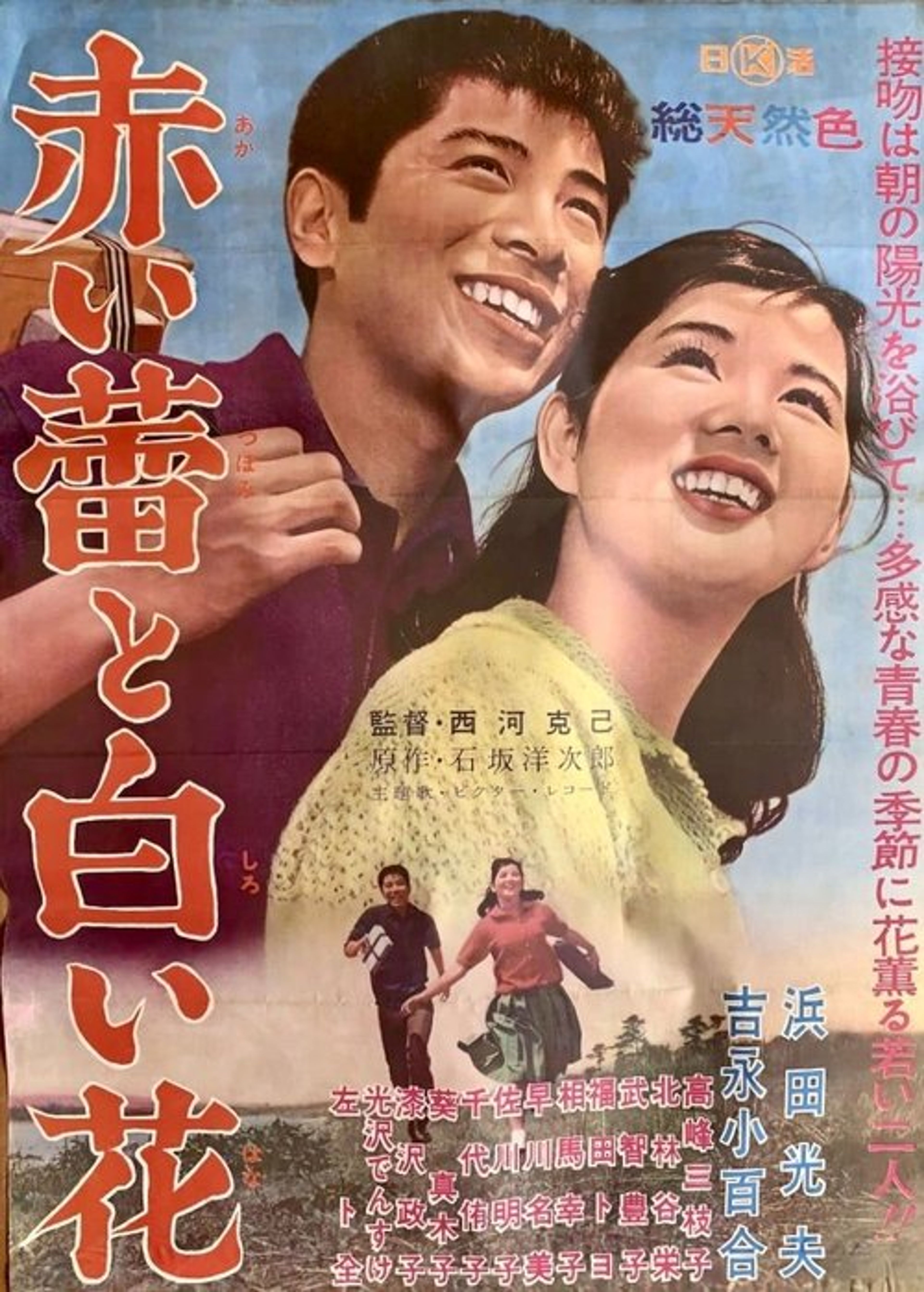 Poster image of Red Bud and White Flower