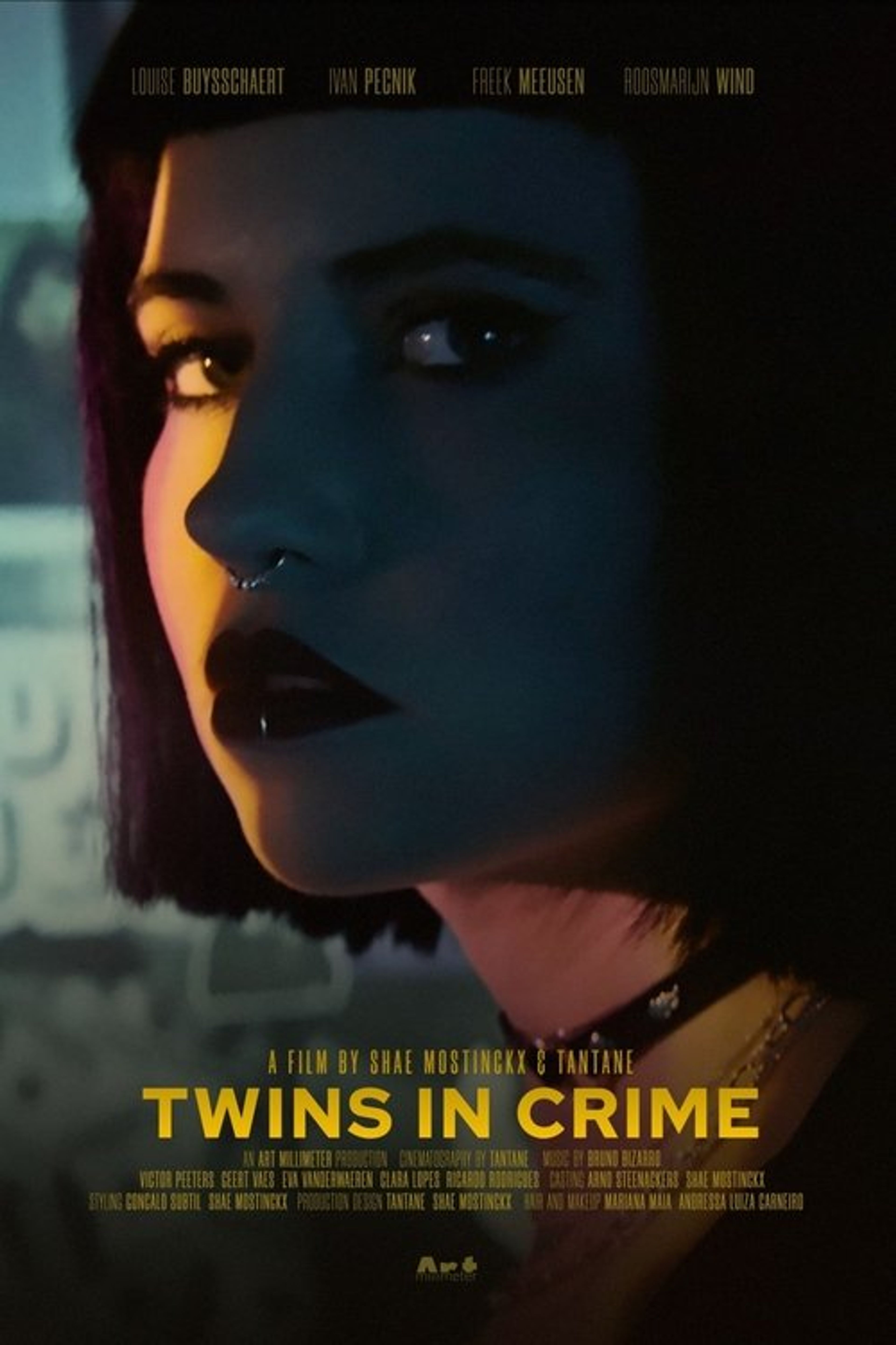Poster image of Twins in Crime