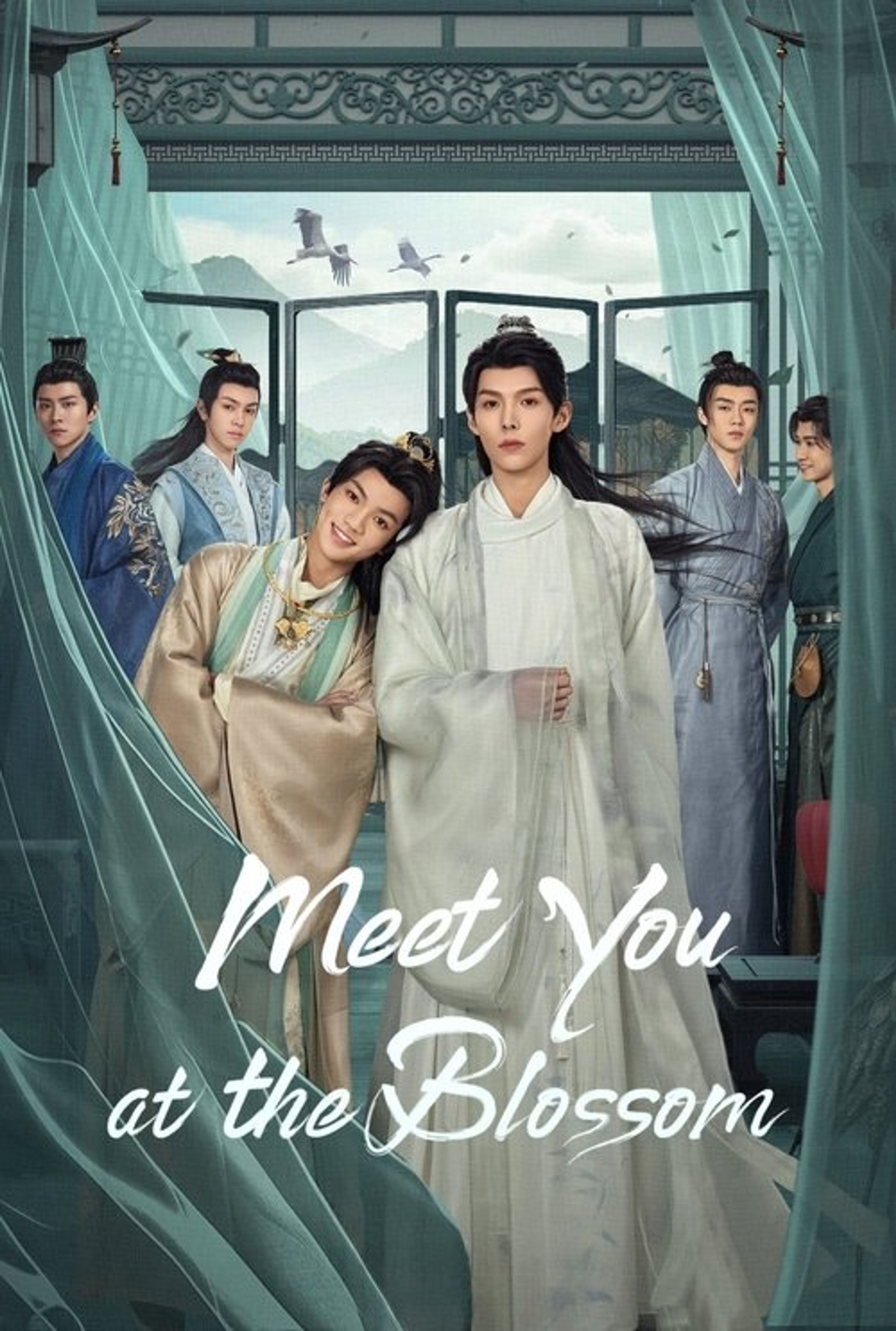 Poster image of Meet You at the Blossom