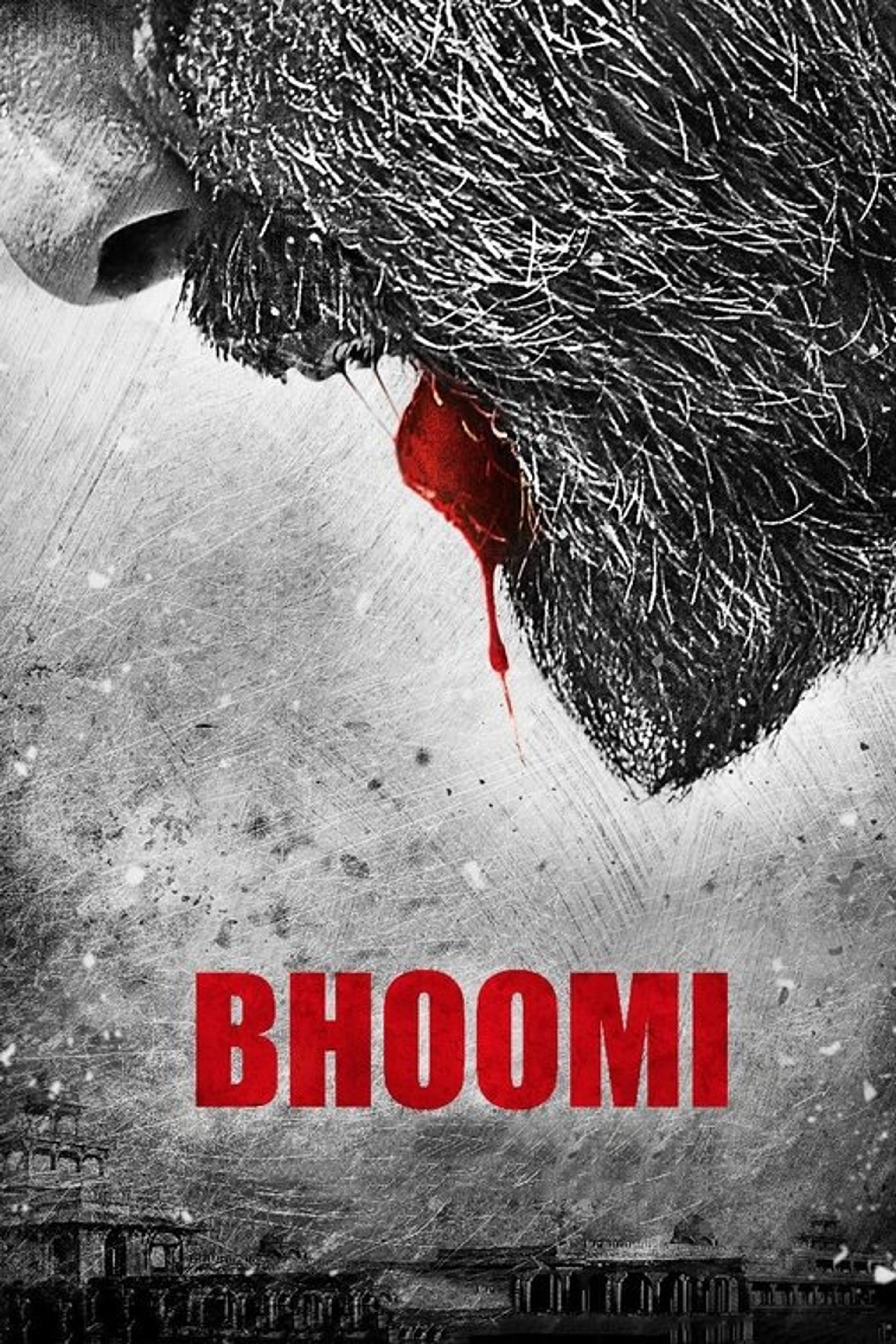 Poster image of Bhoomi