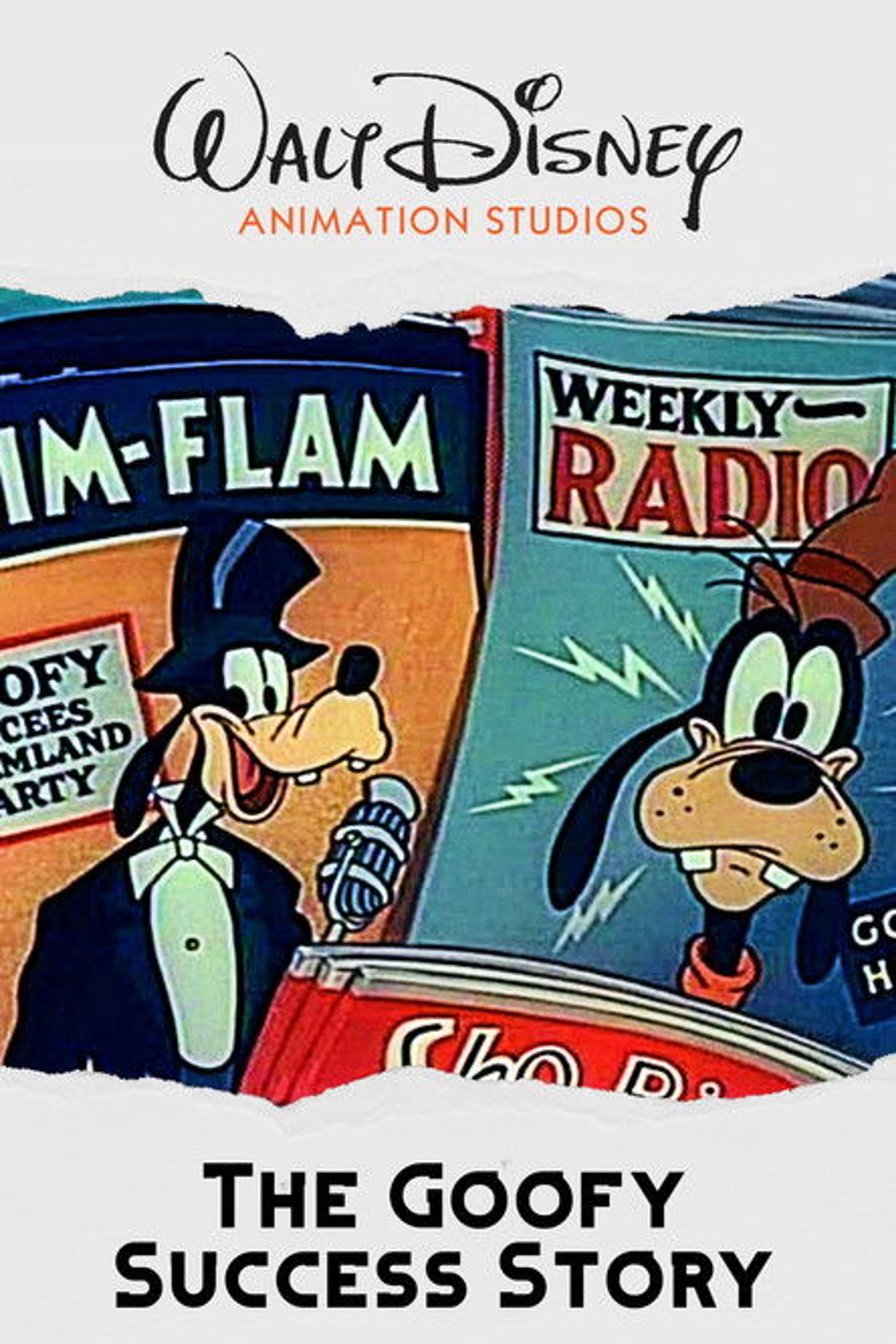 Poster image of The Goofy Success Story