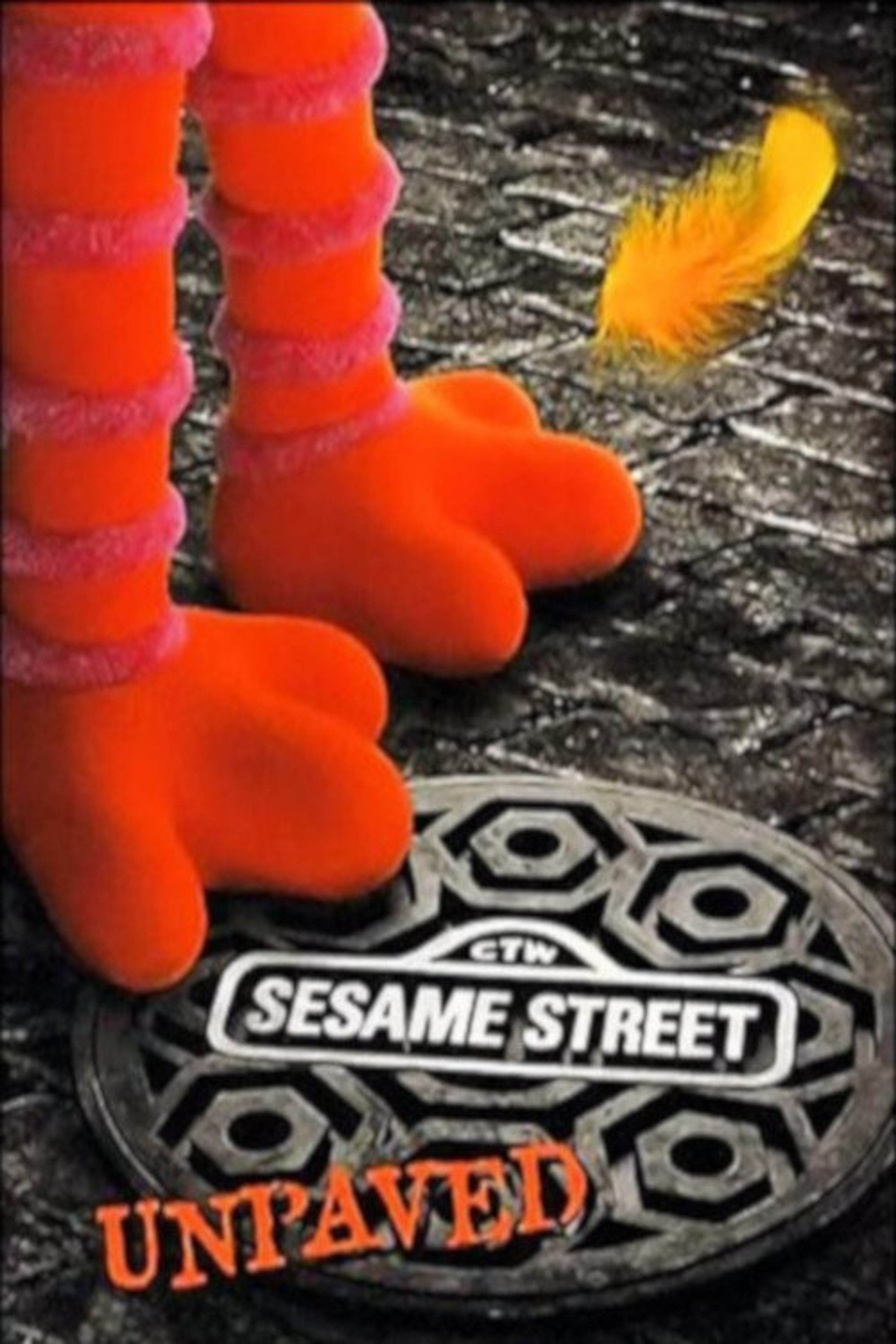 Poster image of Sesame Unpaved