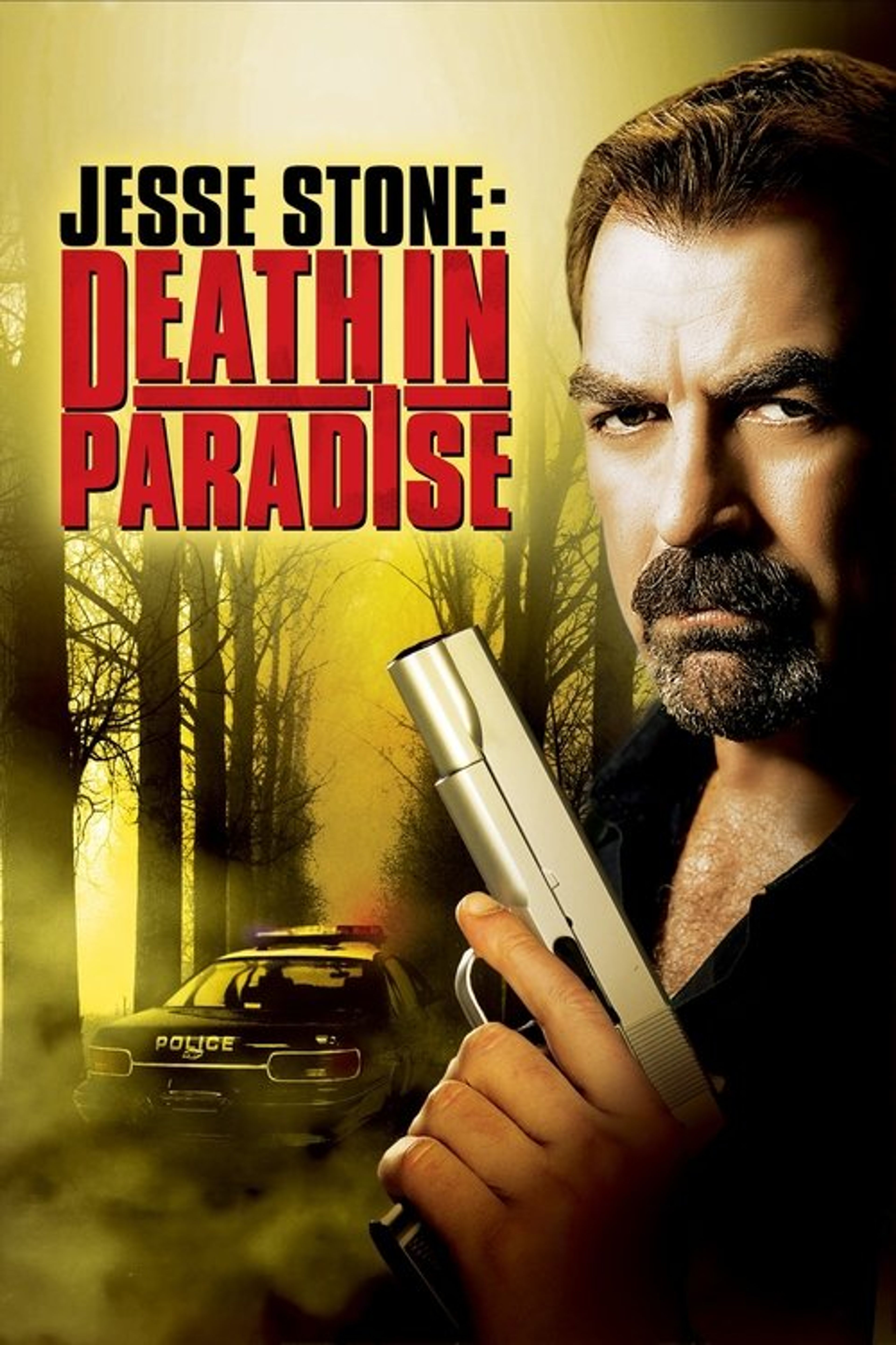 Poster image of Jesse Stone: Death in Paradise