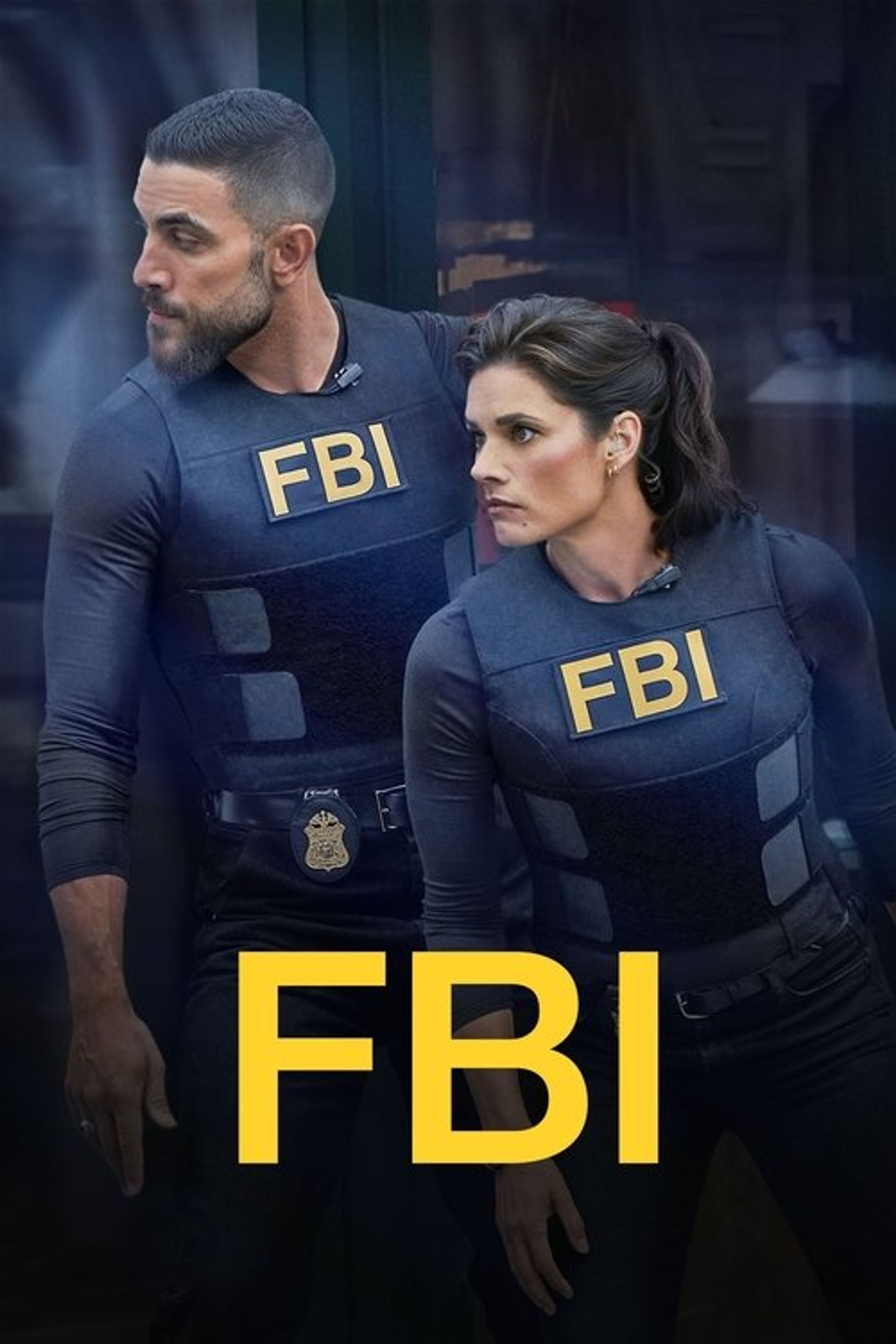 Poster image of FBI