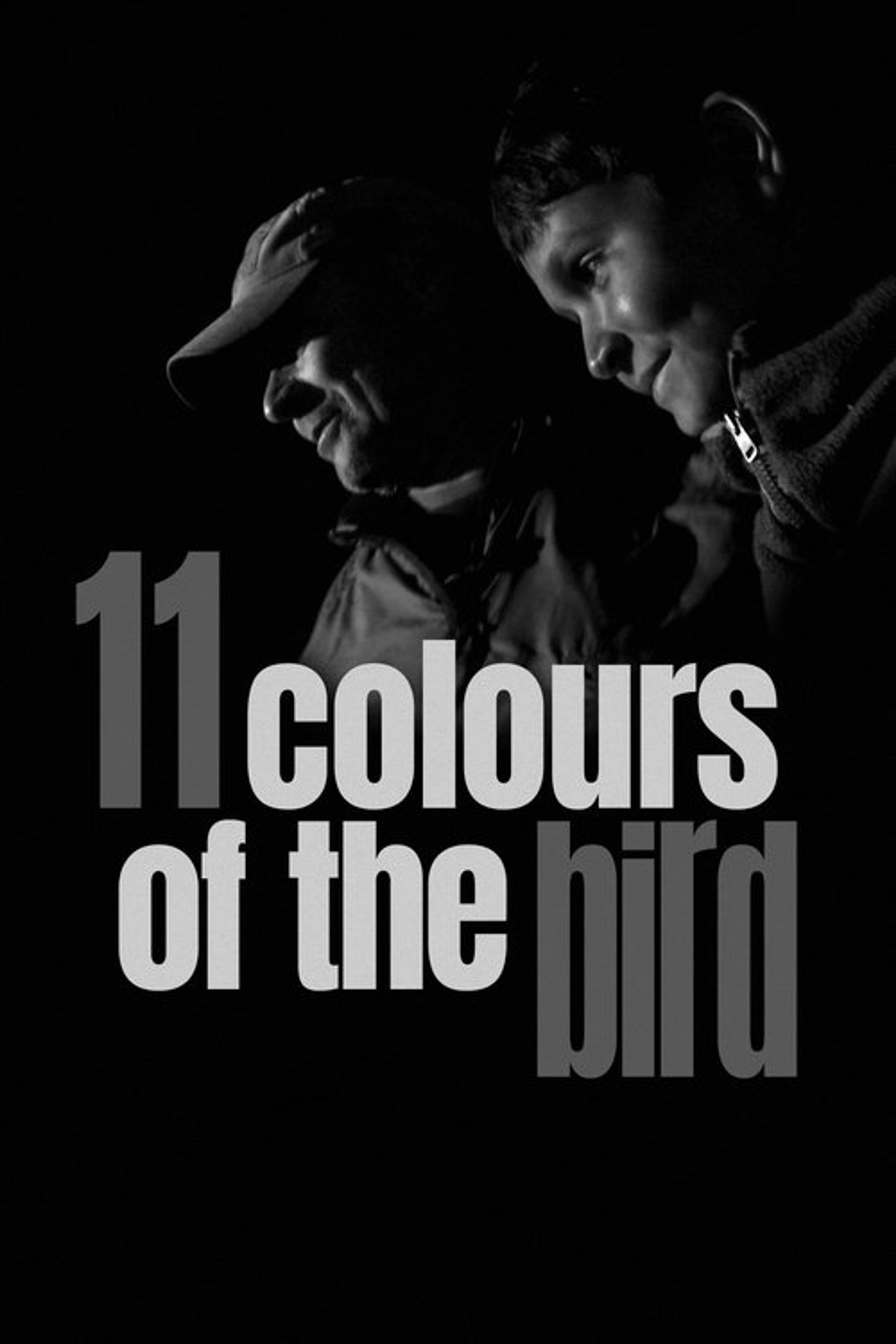 Poster image of 11 Colours of the Bird