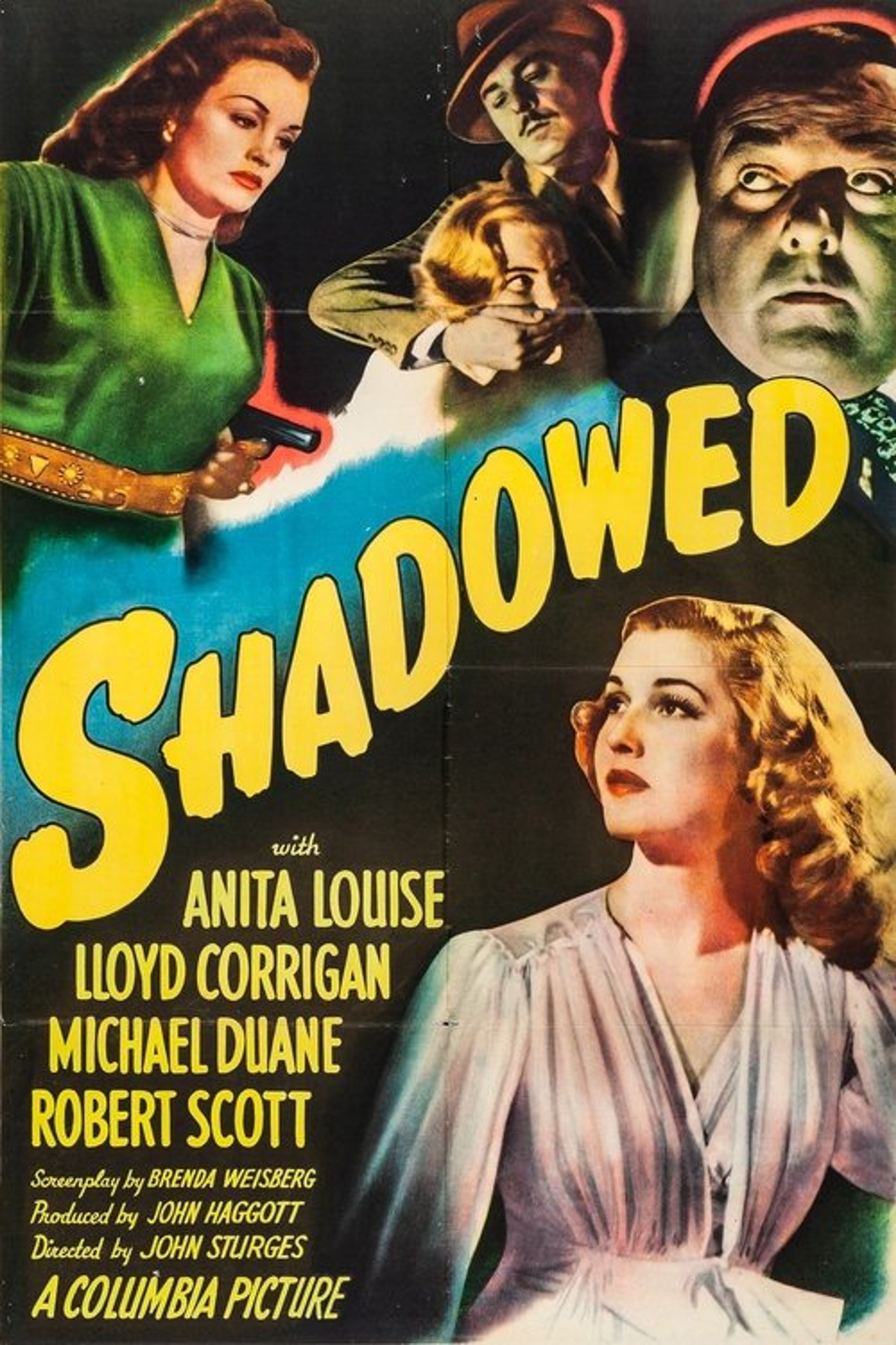 Poster image of Shadowed
