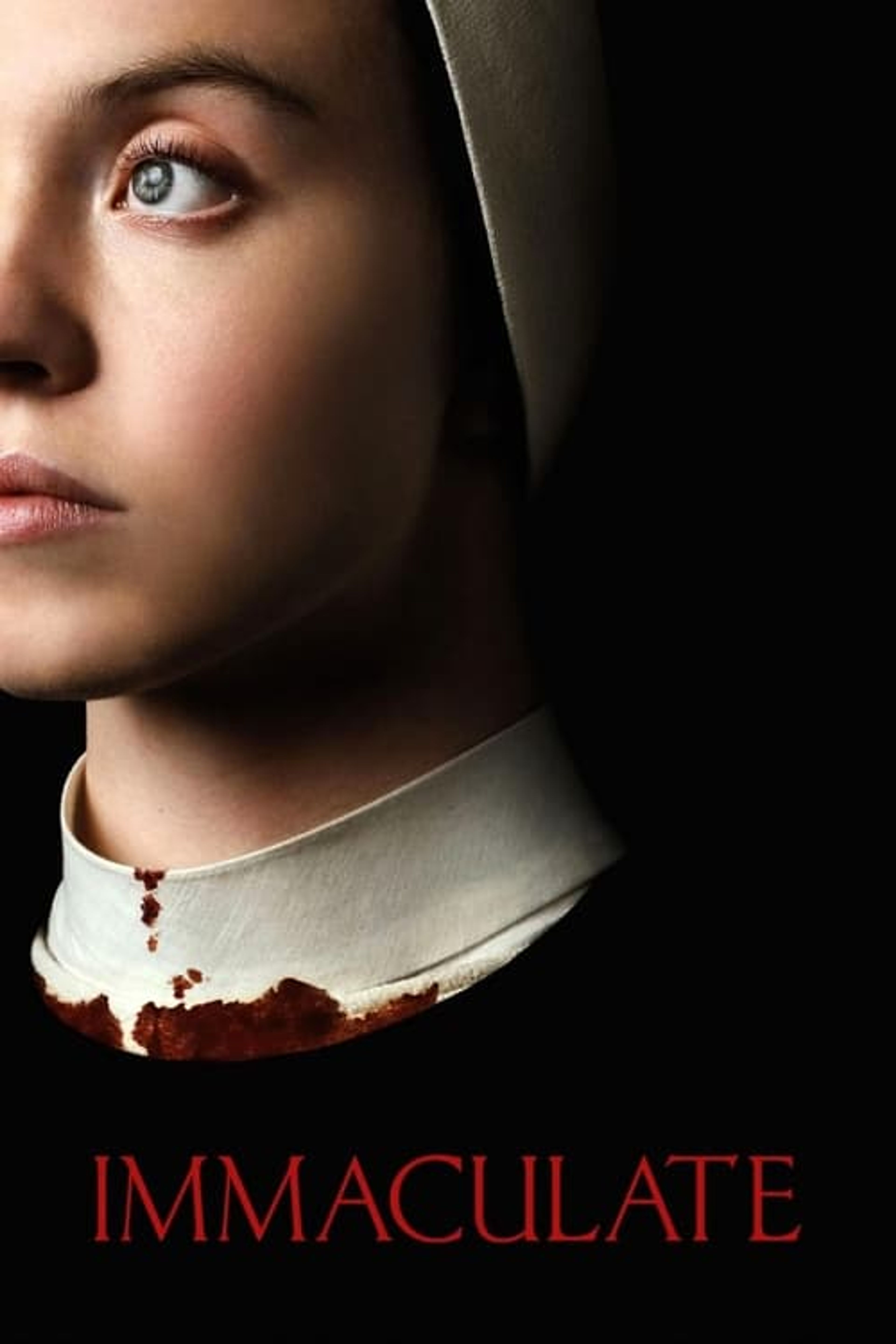 Poster image of Immaculate