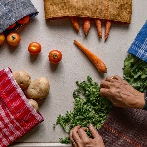 SHOBJI Fridge Bag Set for Veggies and Fruits