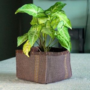 CHOUKON Square Container - Large