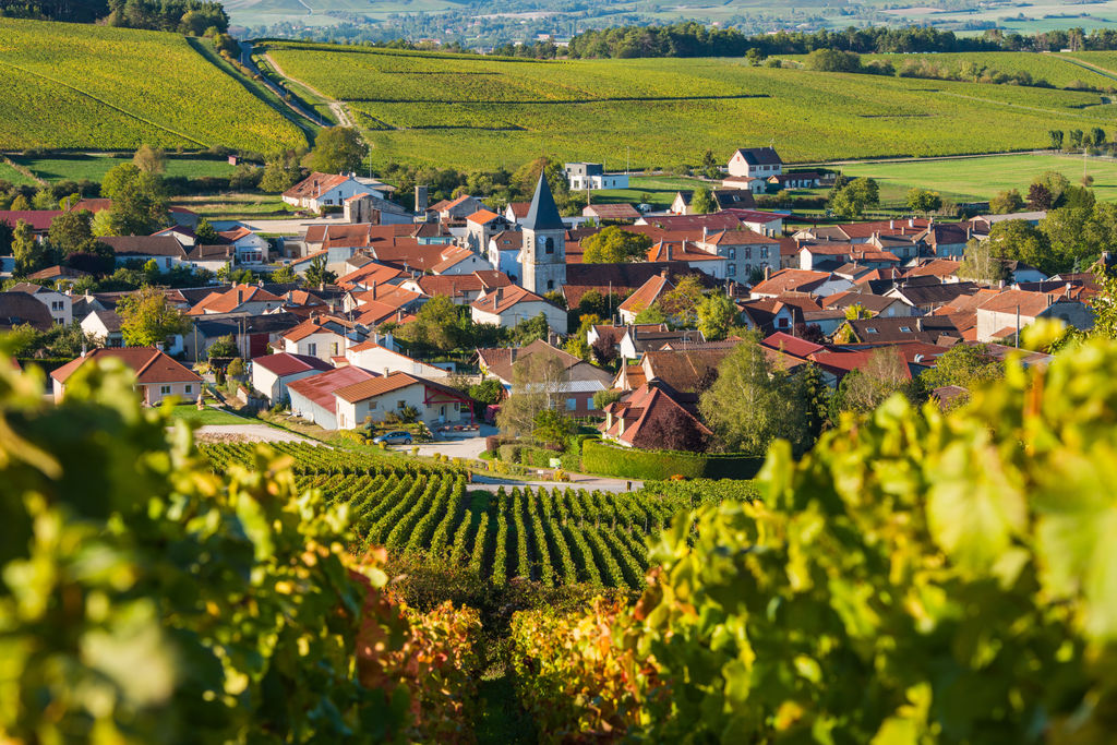 Champagne, Wine & Cognac in France