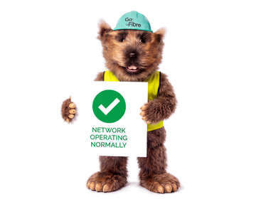 NETWORK STATUS GREEN