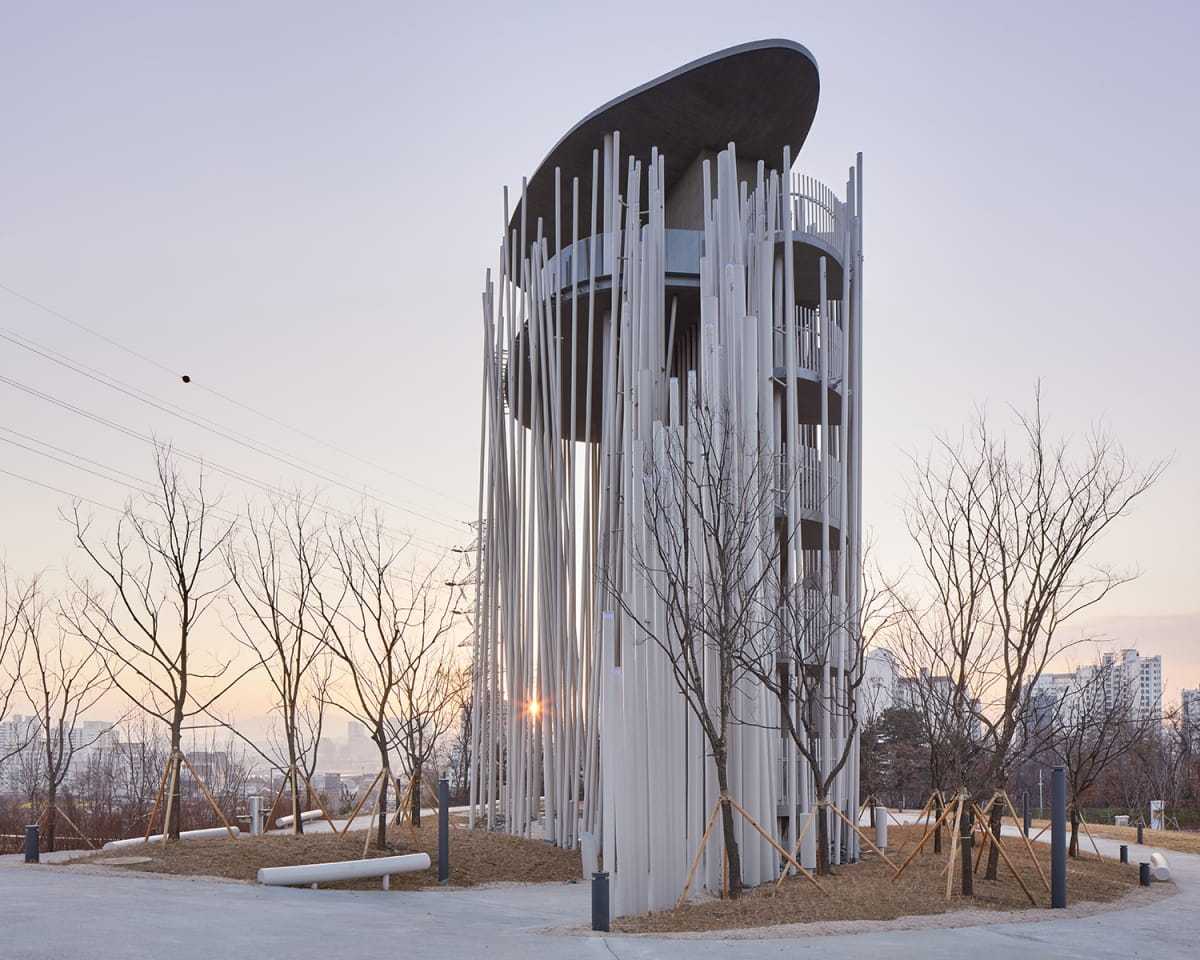 Growing Forest Seoul Corea Growing Forest Seoul Corea