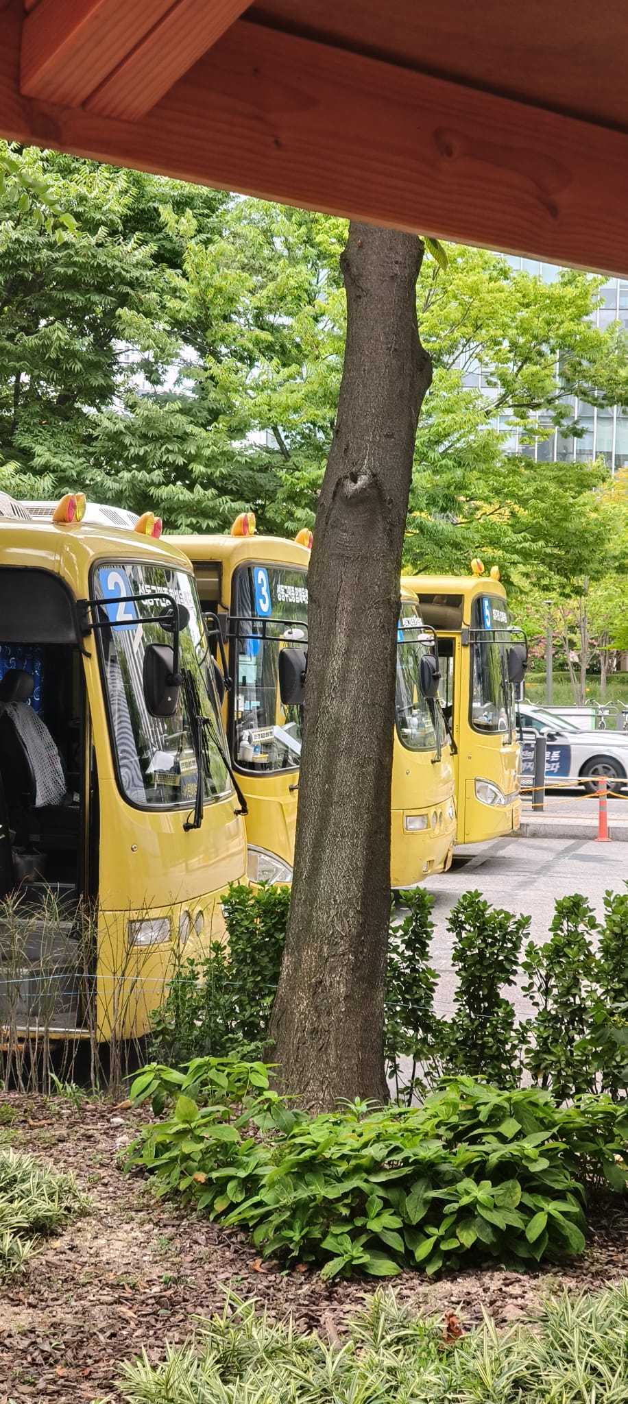 Navette gratuite messe a disposizione dal comune -gu per tutti i cittadini