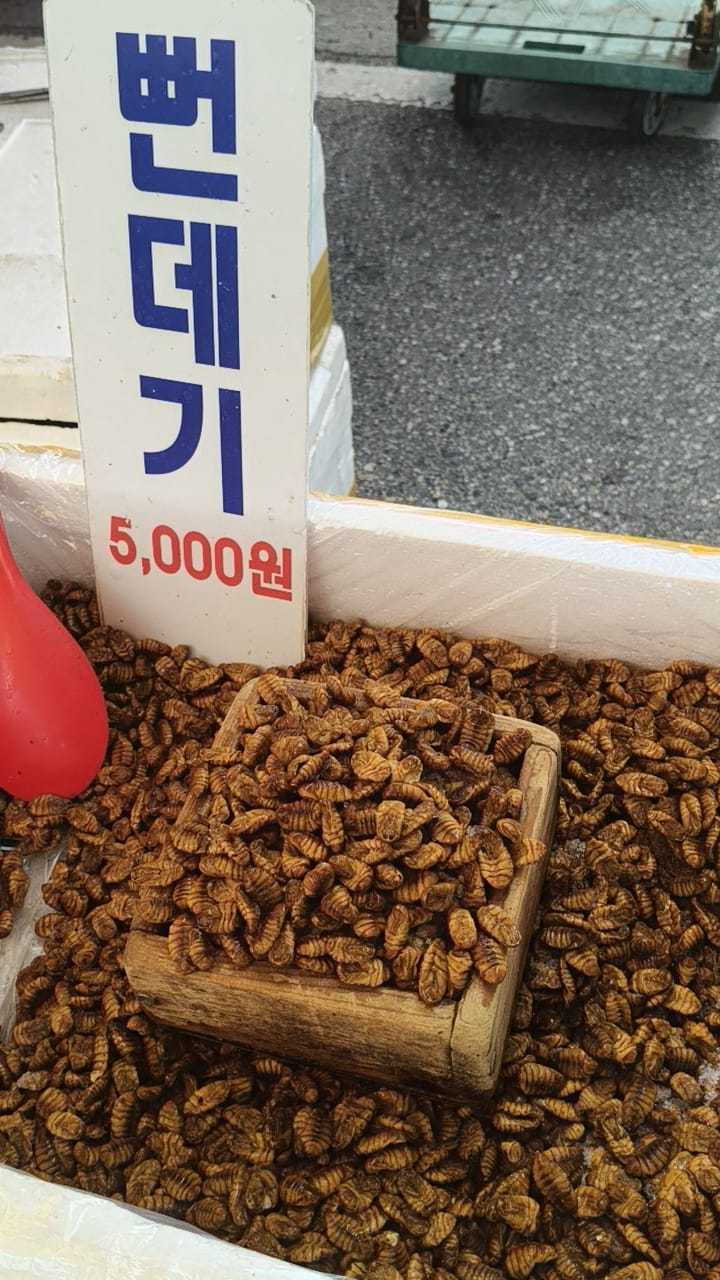 bondegi in vendita in un mercatino di campagna a Yeongwol