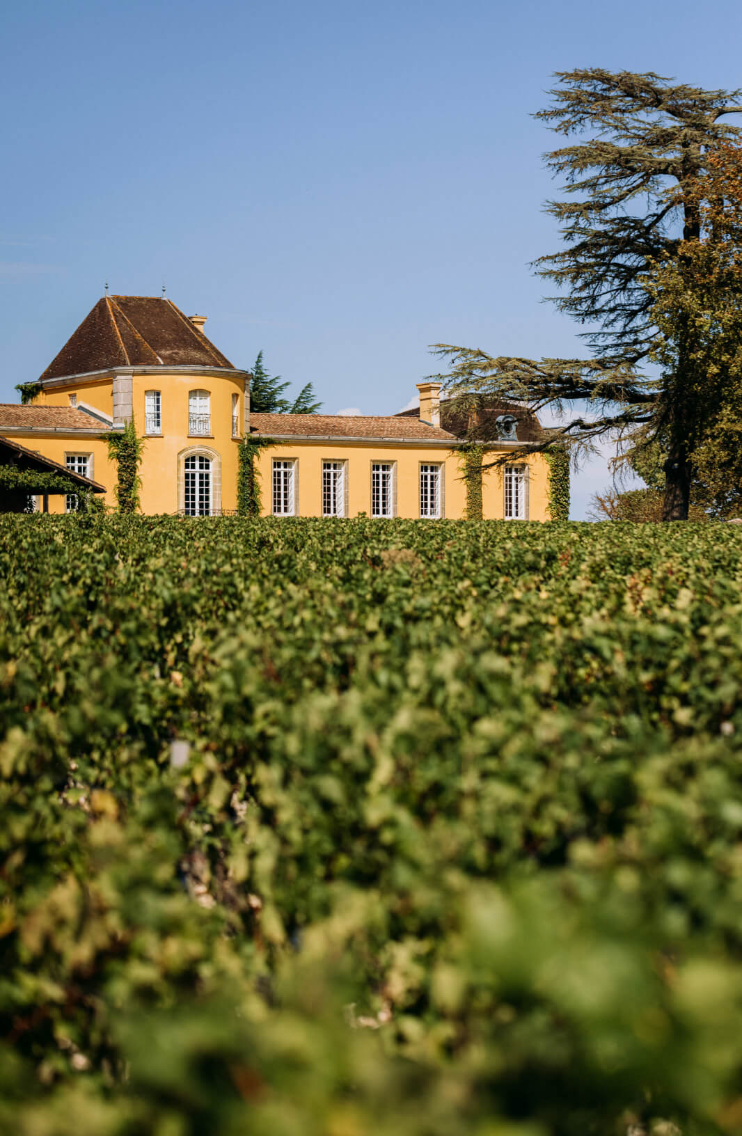 1. L’histoire du Château - Lafon Rochet