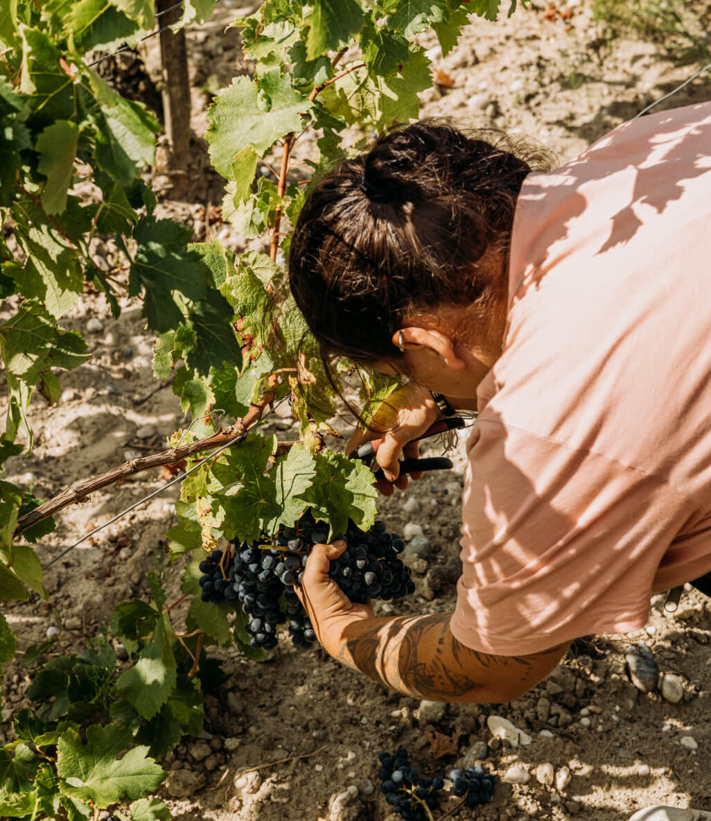 Home - Lafon Rochet