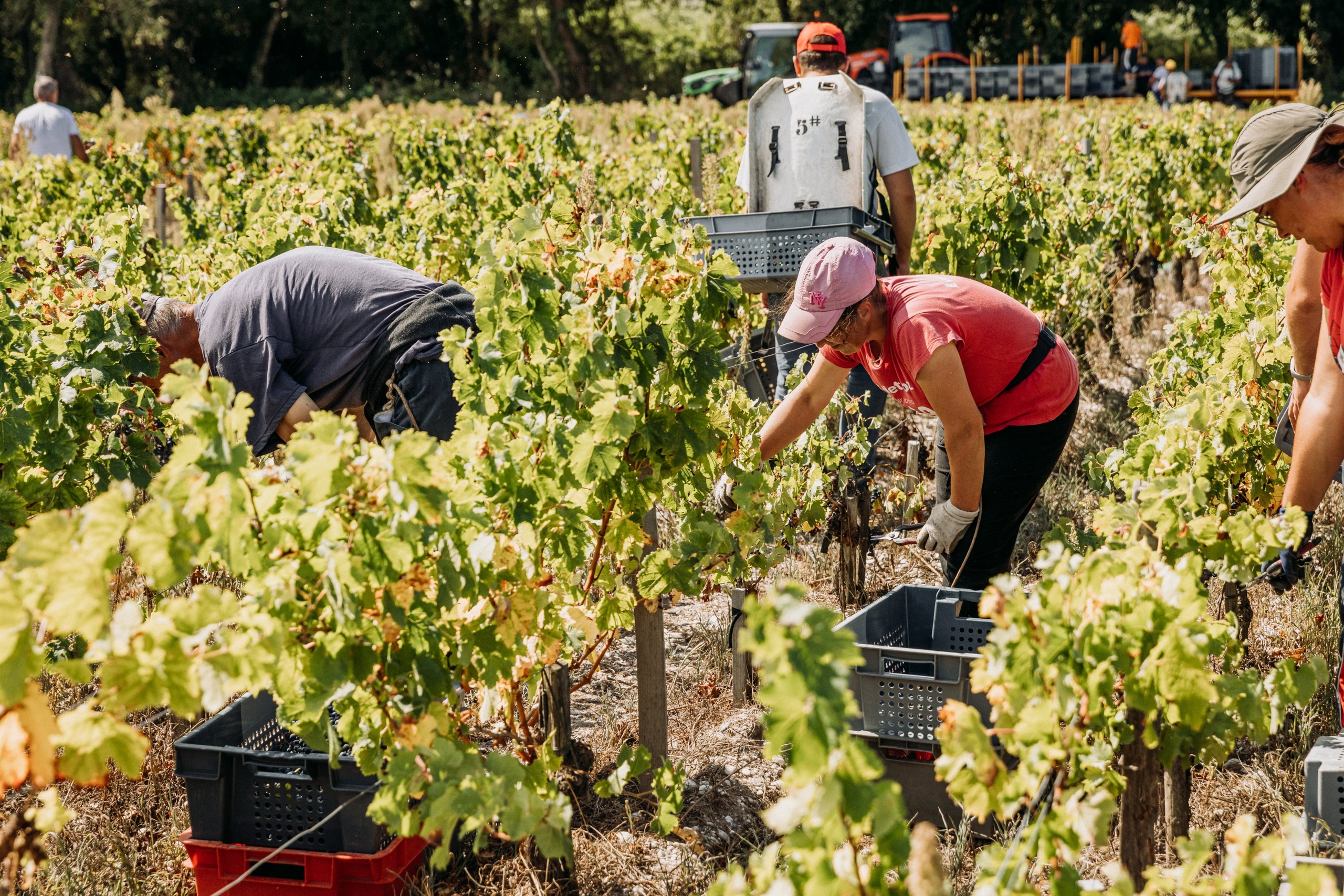 Les Gestes - Lafon Rochet