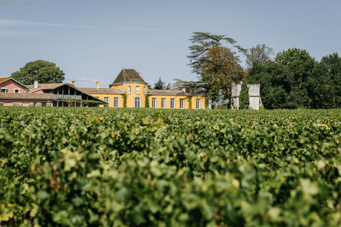 2. La chapelle et les couverts végétaux - Lafon Rochet