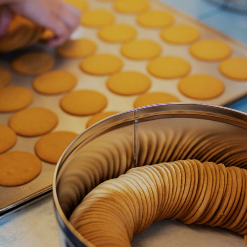 Runda, fina, nygräddare pepparkakor på en plåt