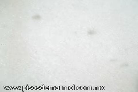 Parquet Mármol Blanco Premium - Láminas y placas para pisos y recubrimientos de lujo con acabado natural