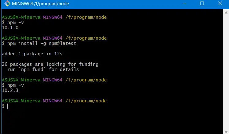update npm