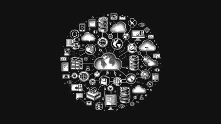 Image Content Delivery Network