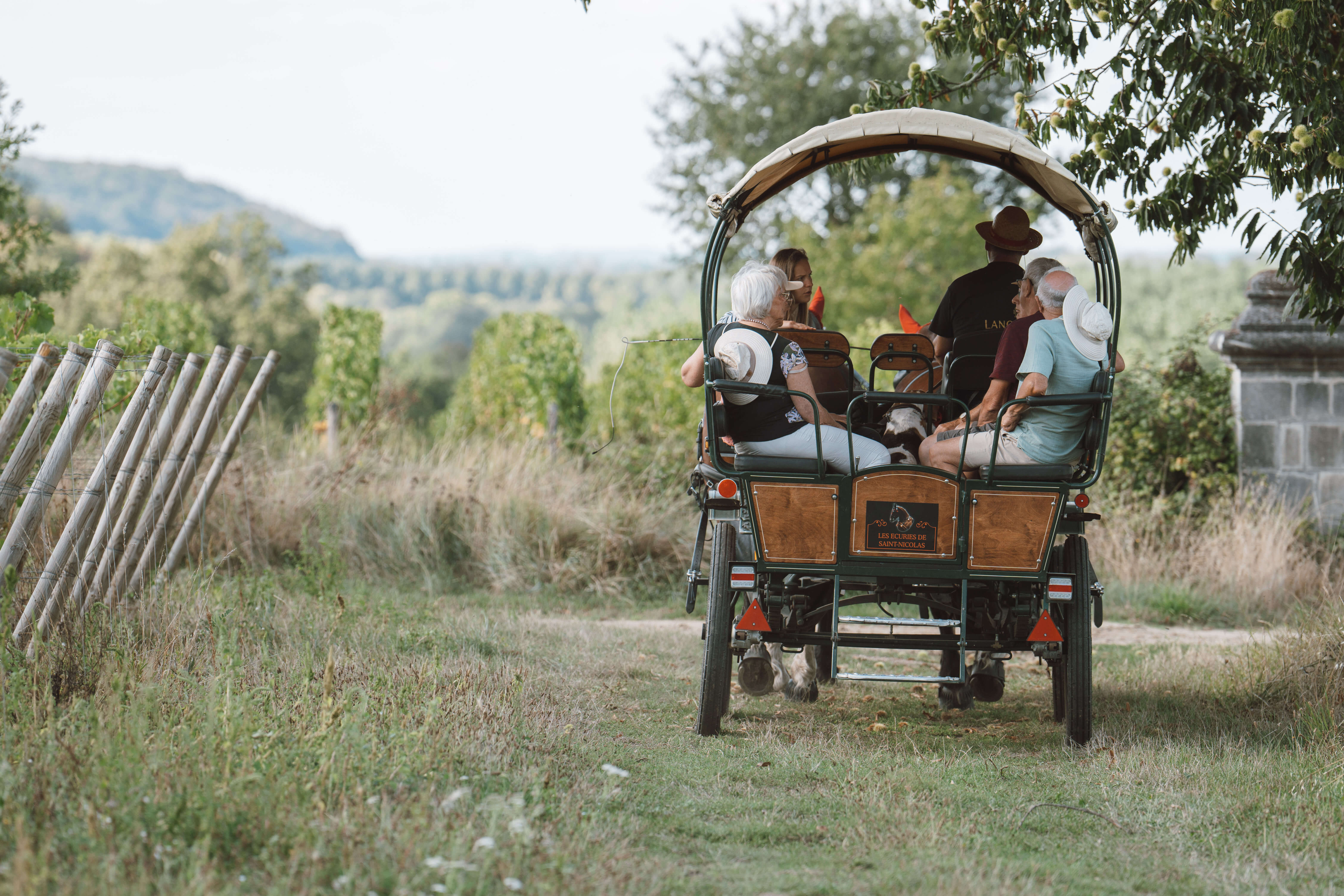 Le vignoble en calèche