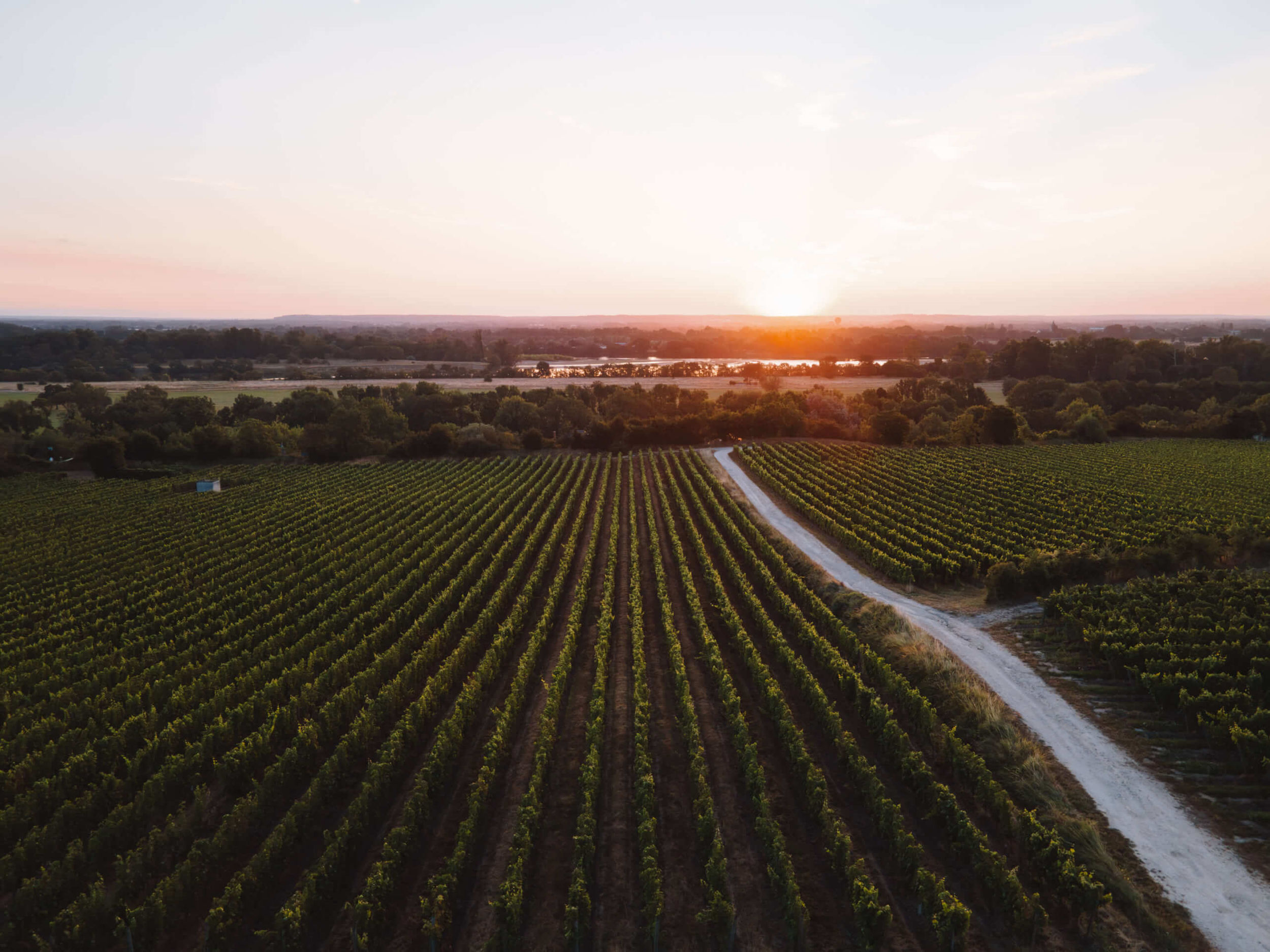 l'empreinte du Chenin