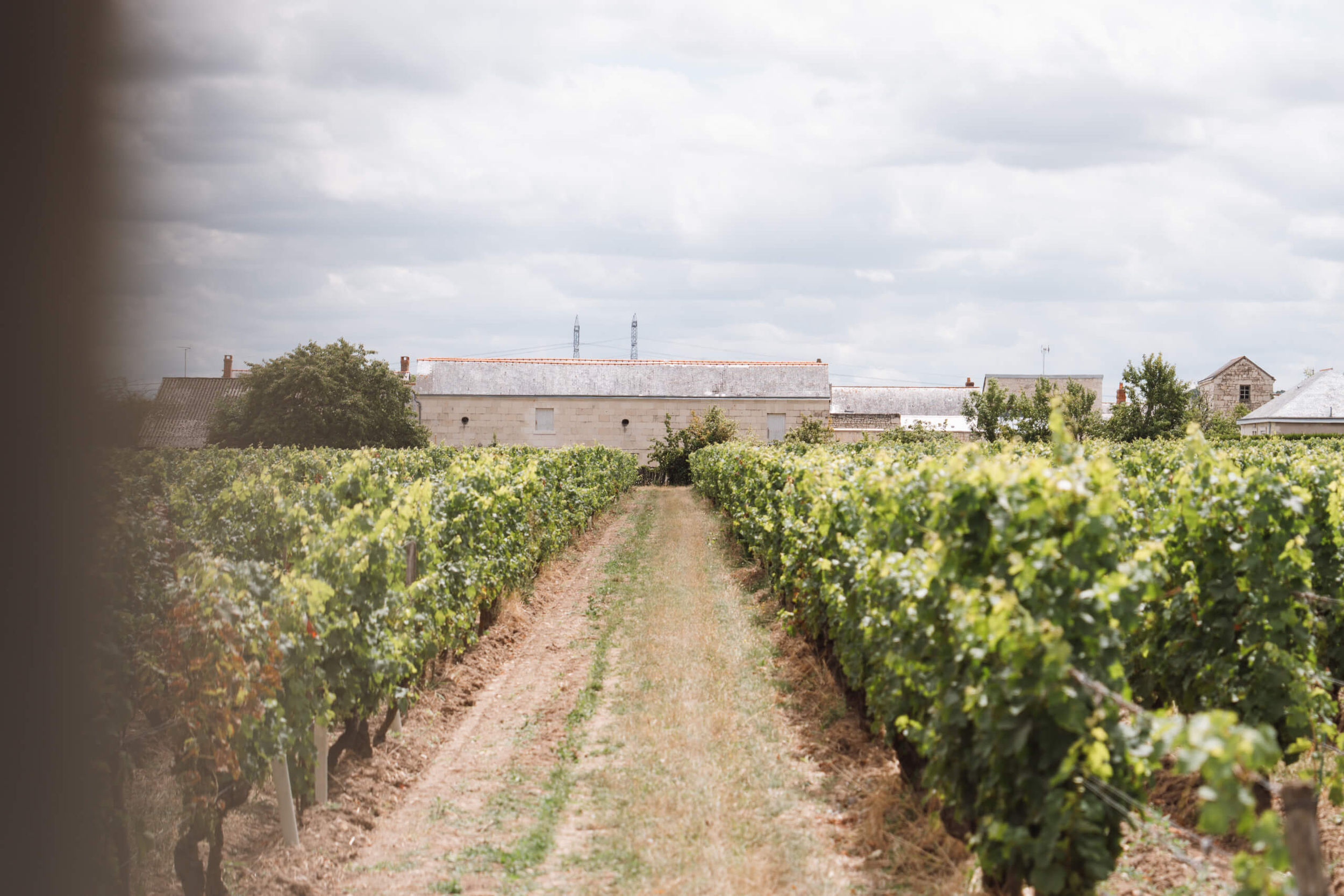 Transcender les standards - Langlois Crémant de Loire