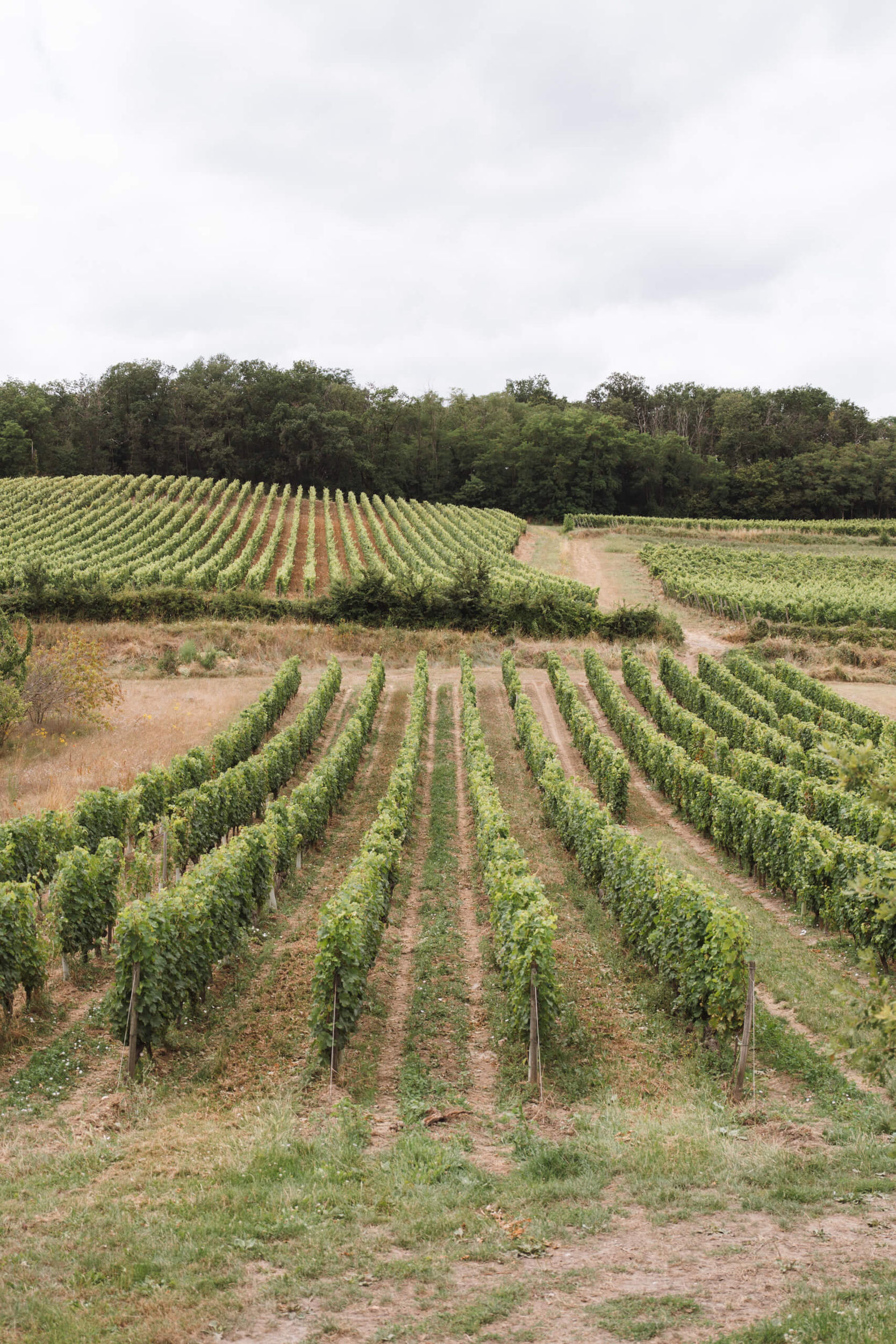 Transcender les standards - Langlois Crémant de Loire