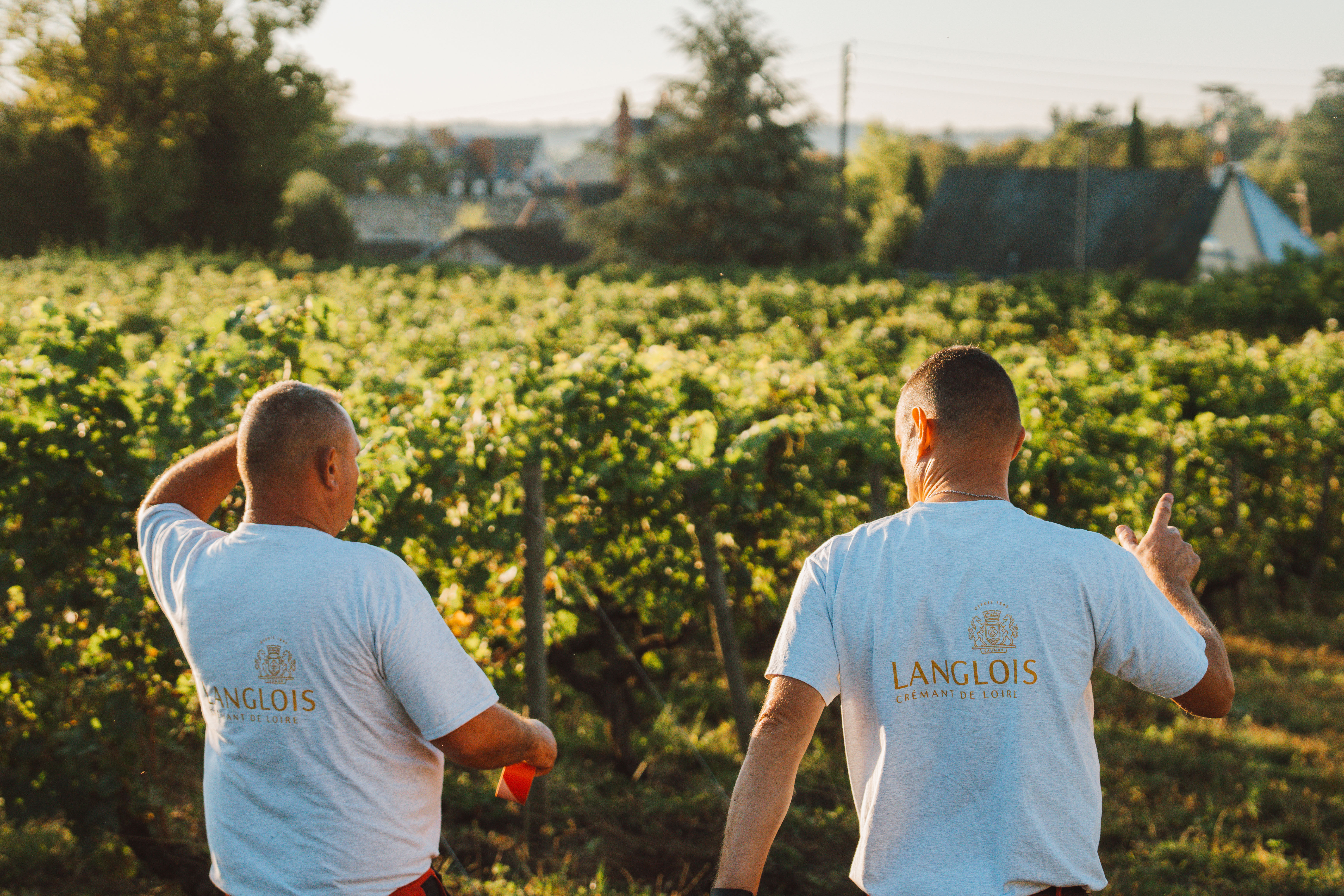 Une Histoire d’excellence - Langlois Crémant de Loire