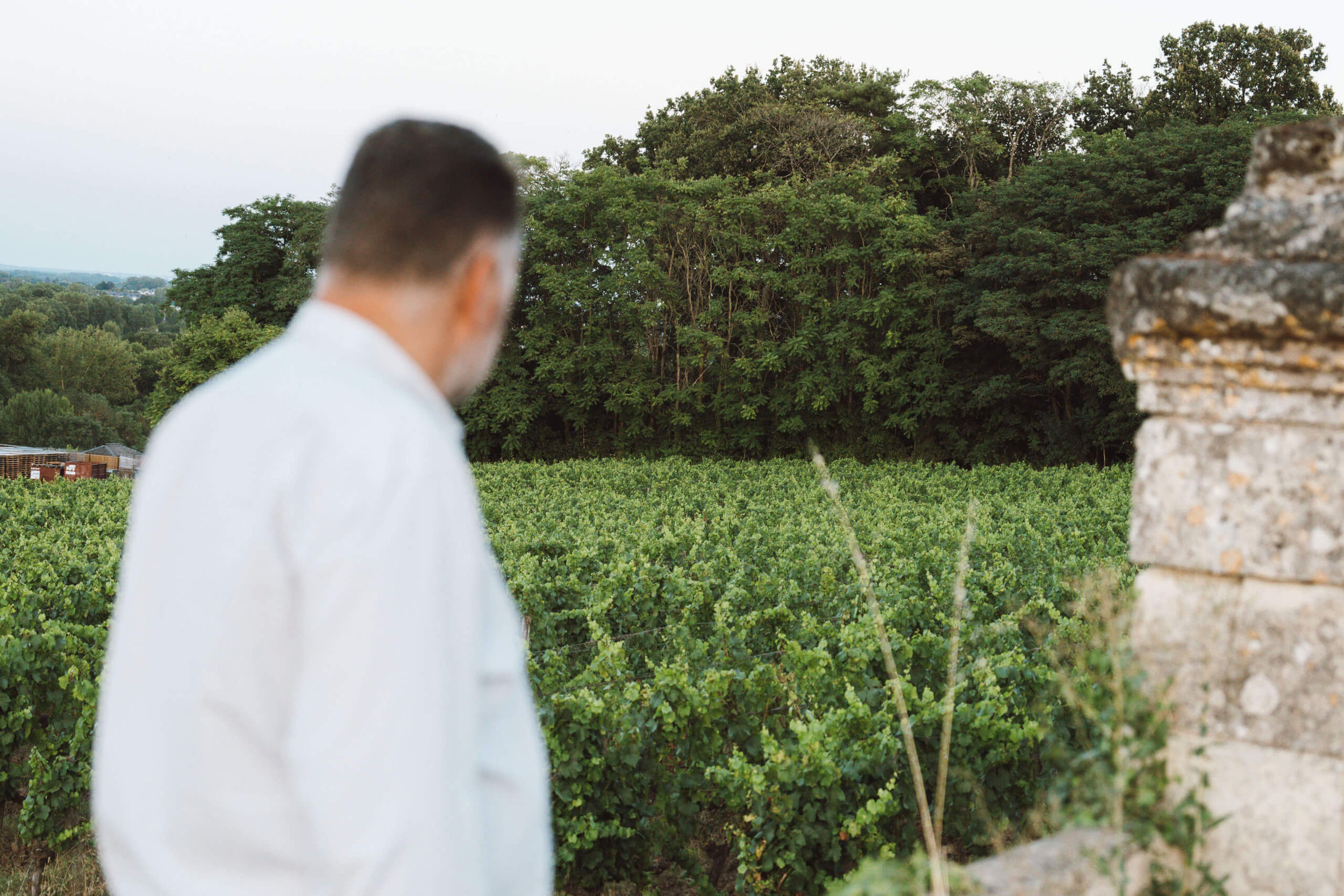 Une Histoire d’excellence - Langlois Crémant de Loire