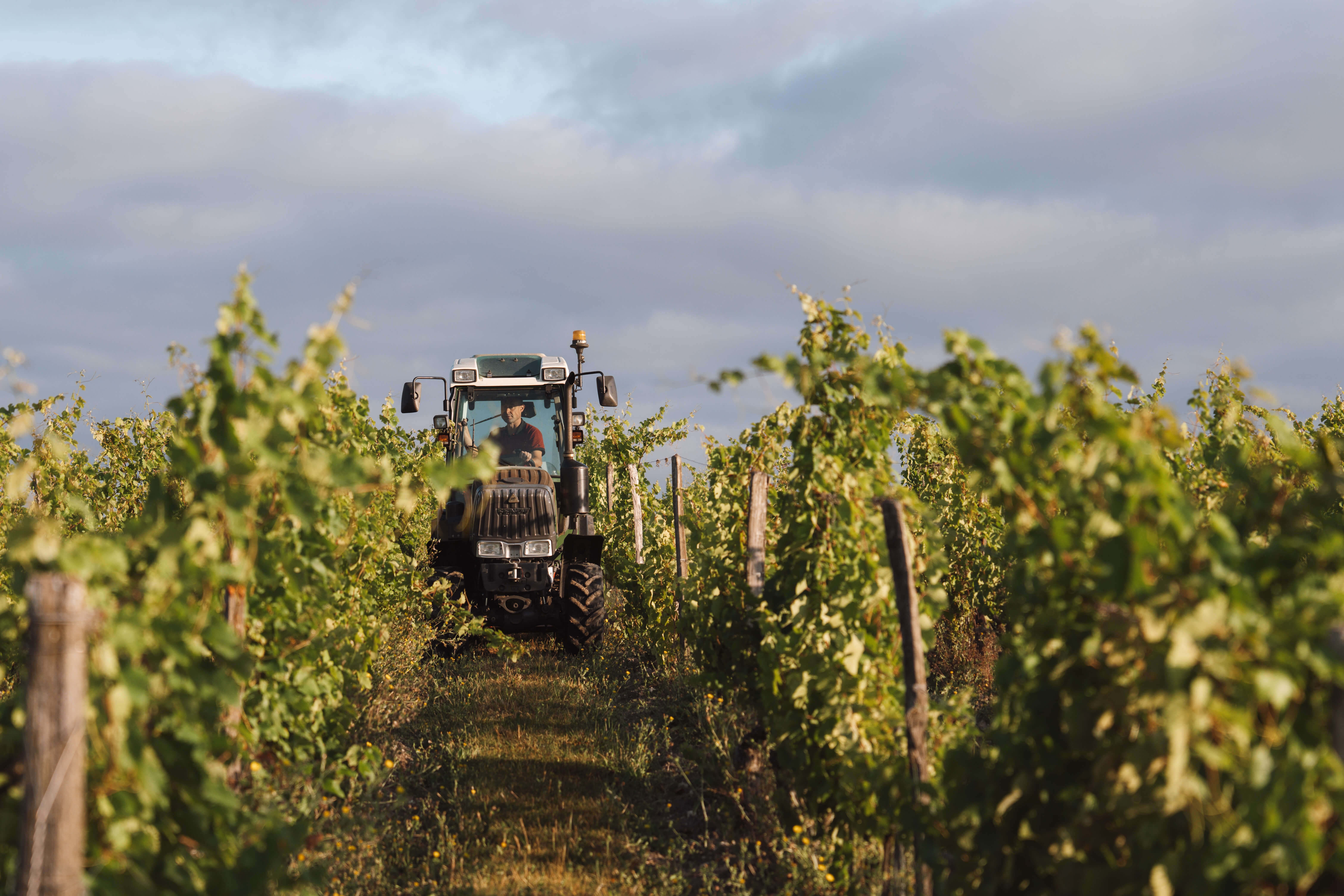 Les Beaugrands, Coteaux de Saumur - Langlois Crémant de Loire