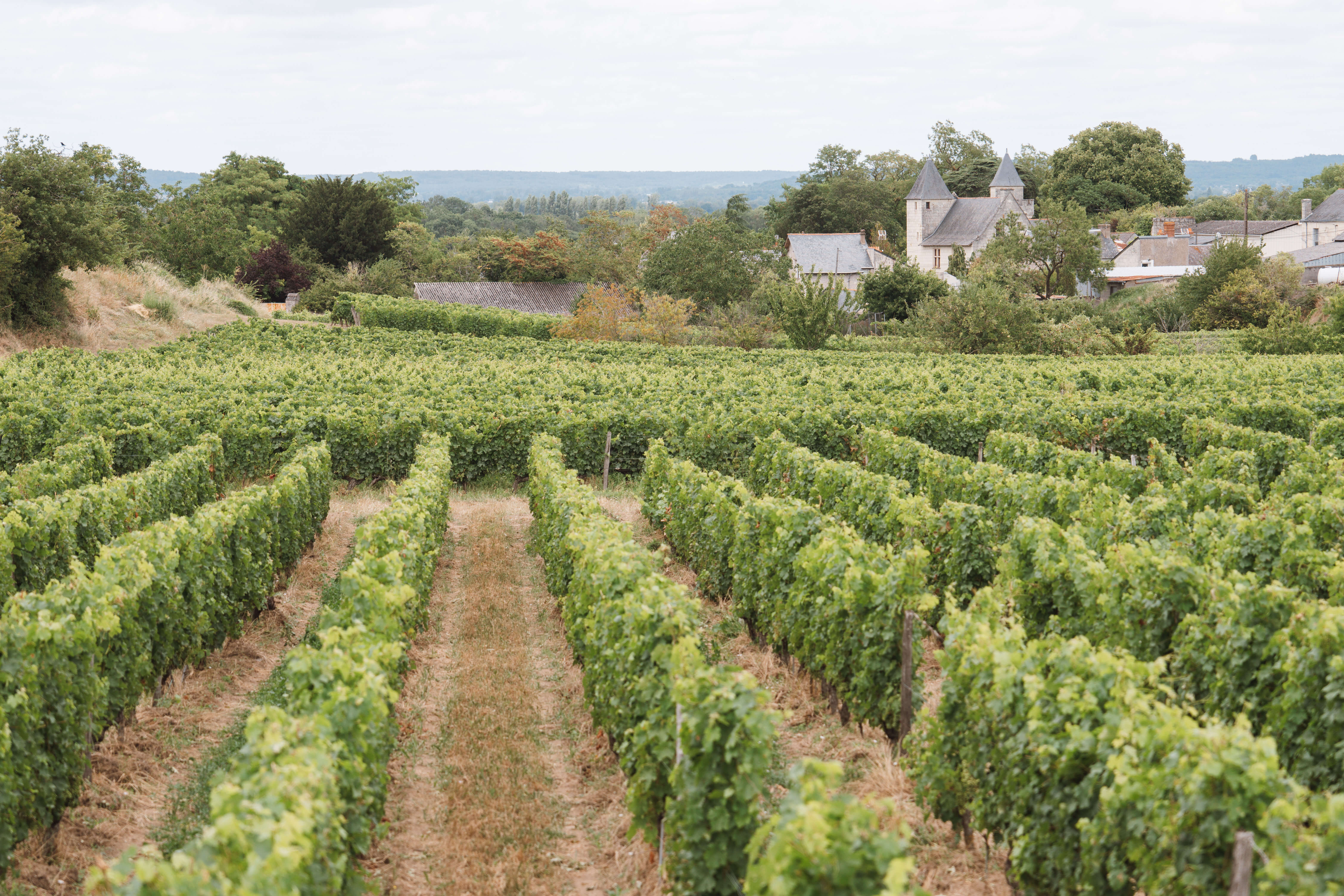 La maison - Langlois Crémant de Loire