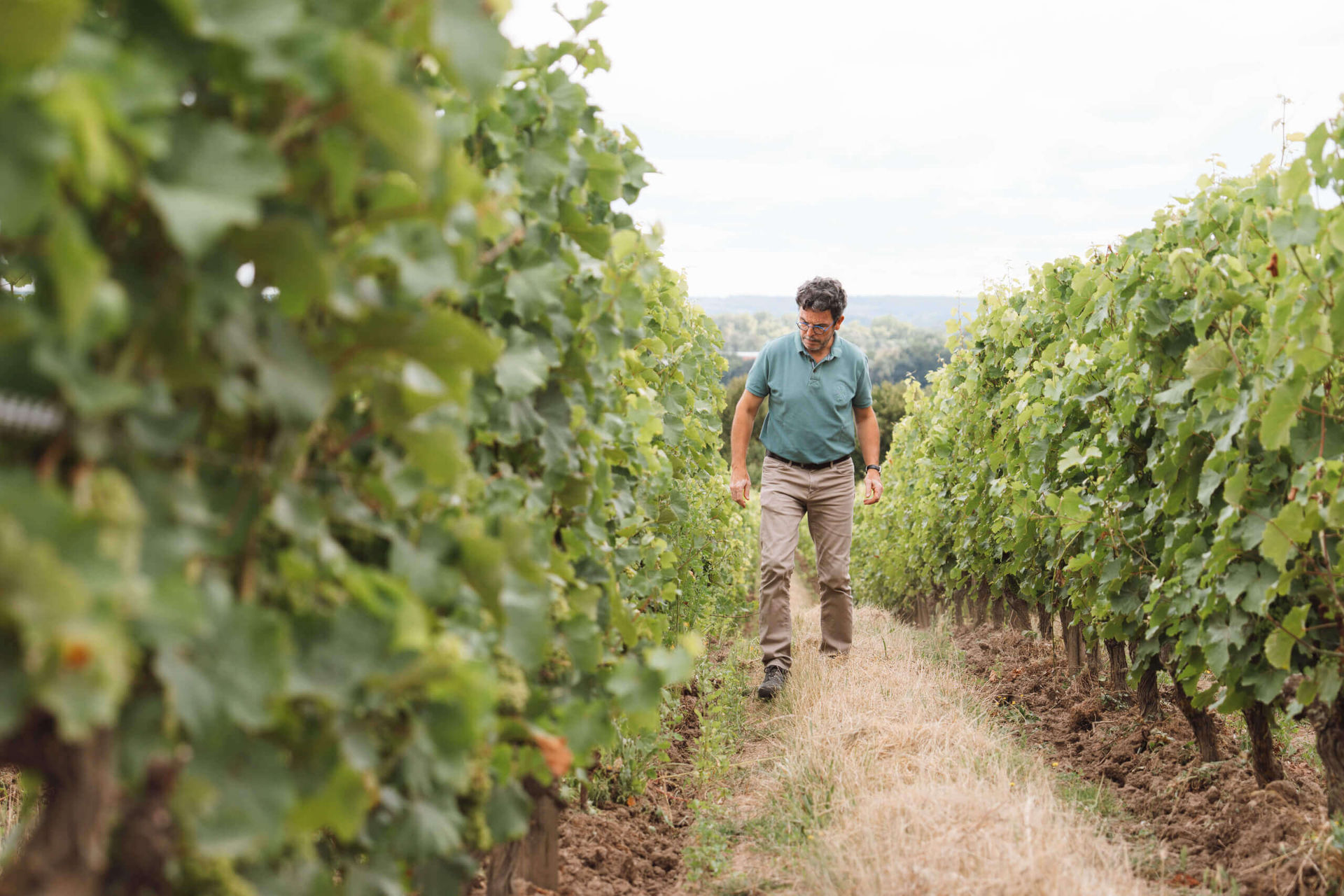 L’expérience Langlois à Saumur - Langlois Crémant de Loire