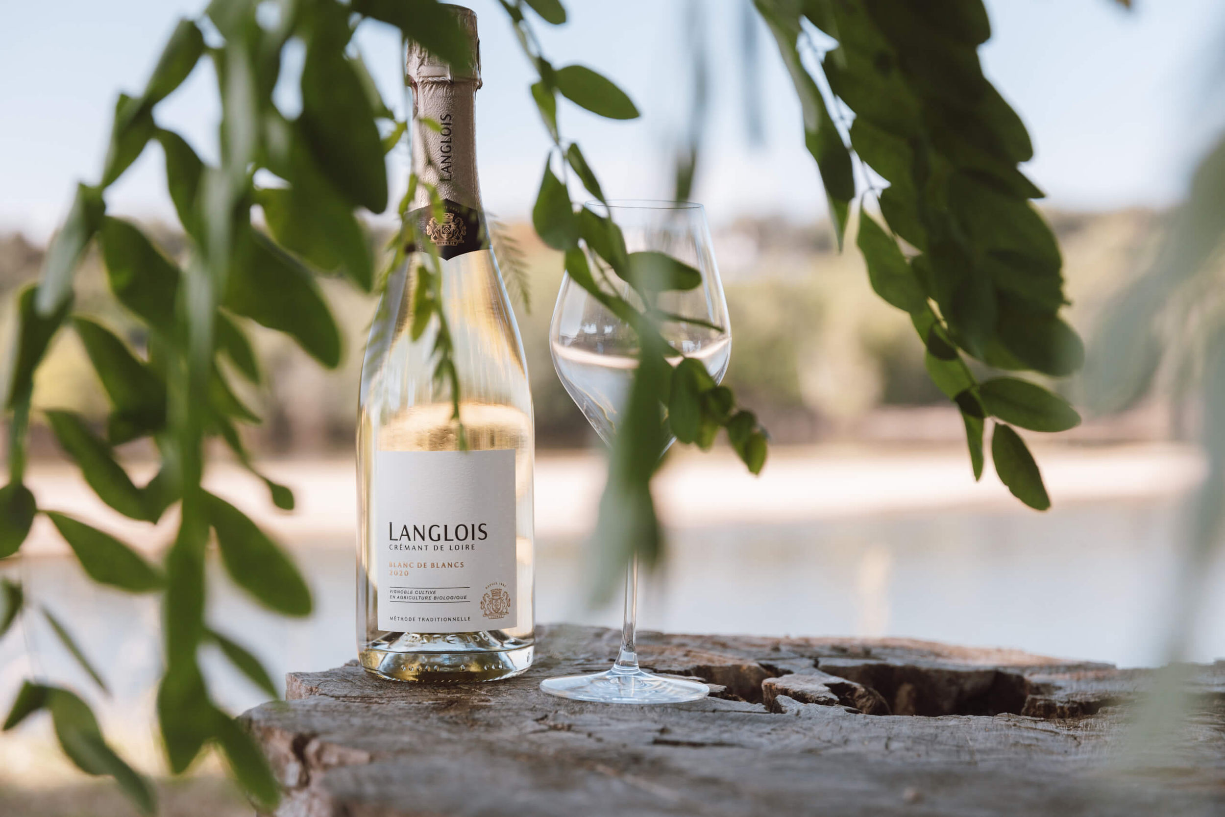 Blanc de Blancs Bio 2021 – Crémant de Loire Langlois Extra Brut - Langlois Crémant de Loire
