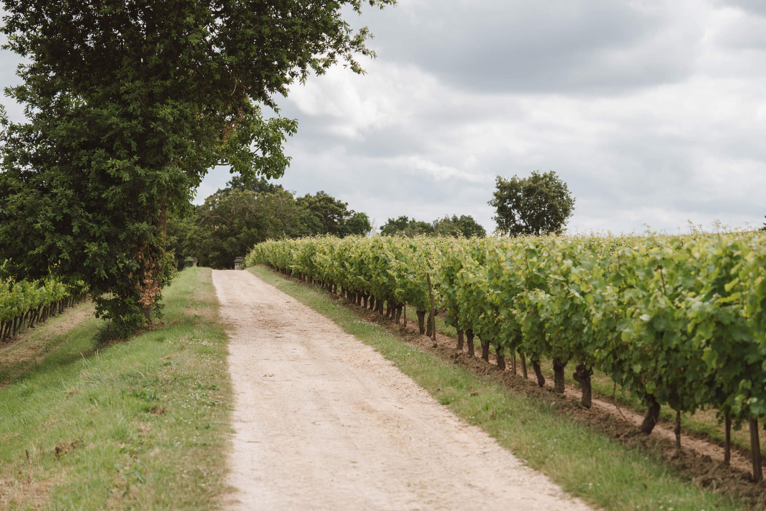 Das Escape Game mit dem fahrrad - Langlois Crémant de Loire