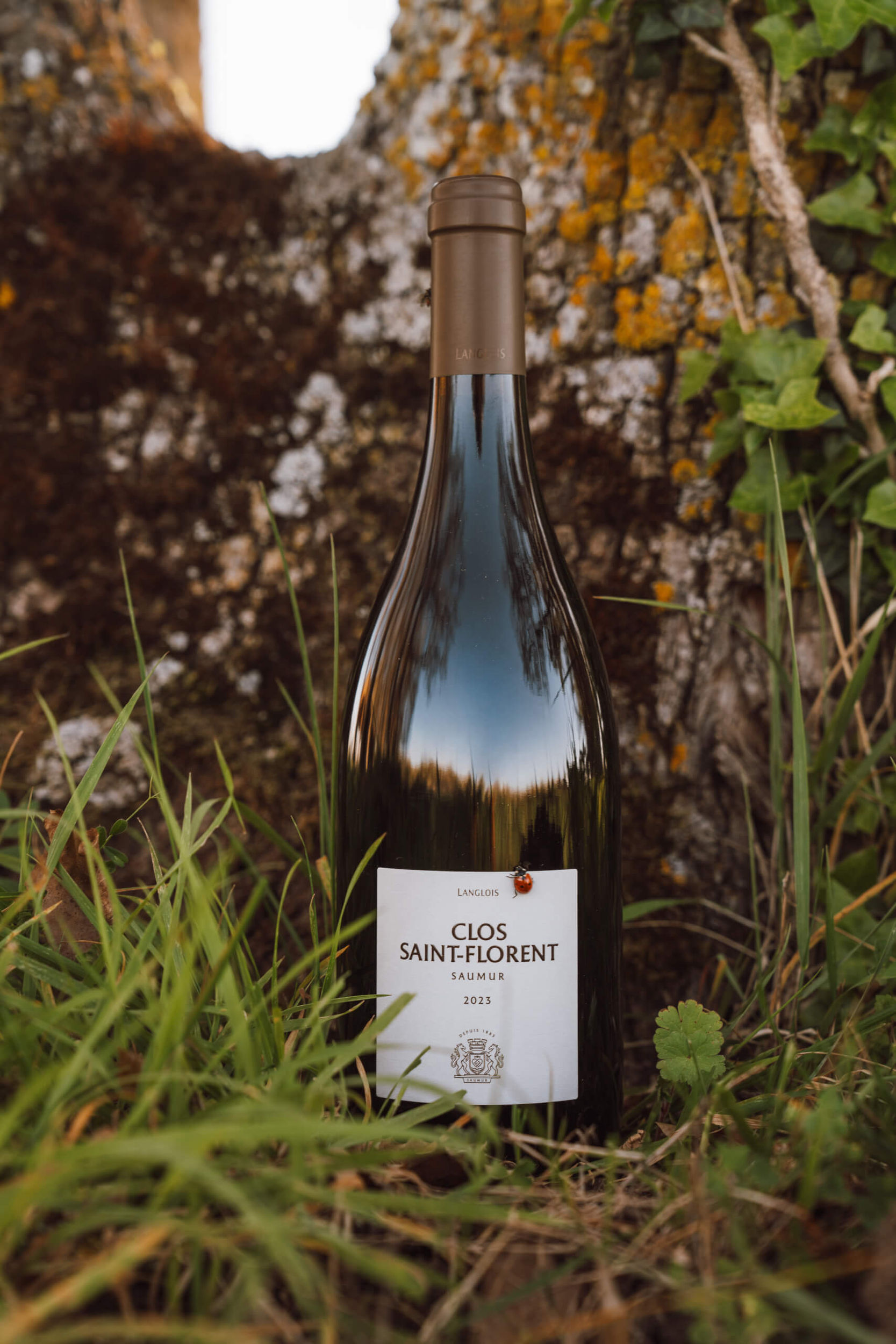 Afterwork Langlois Clos Saint-Florent Blanc et Rouge - Langlois Crémant de Loire