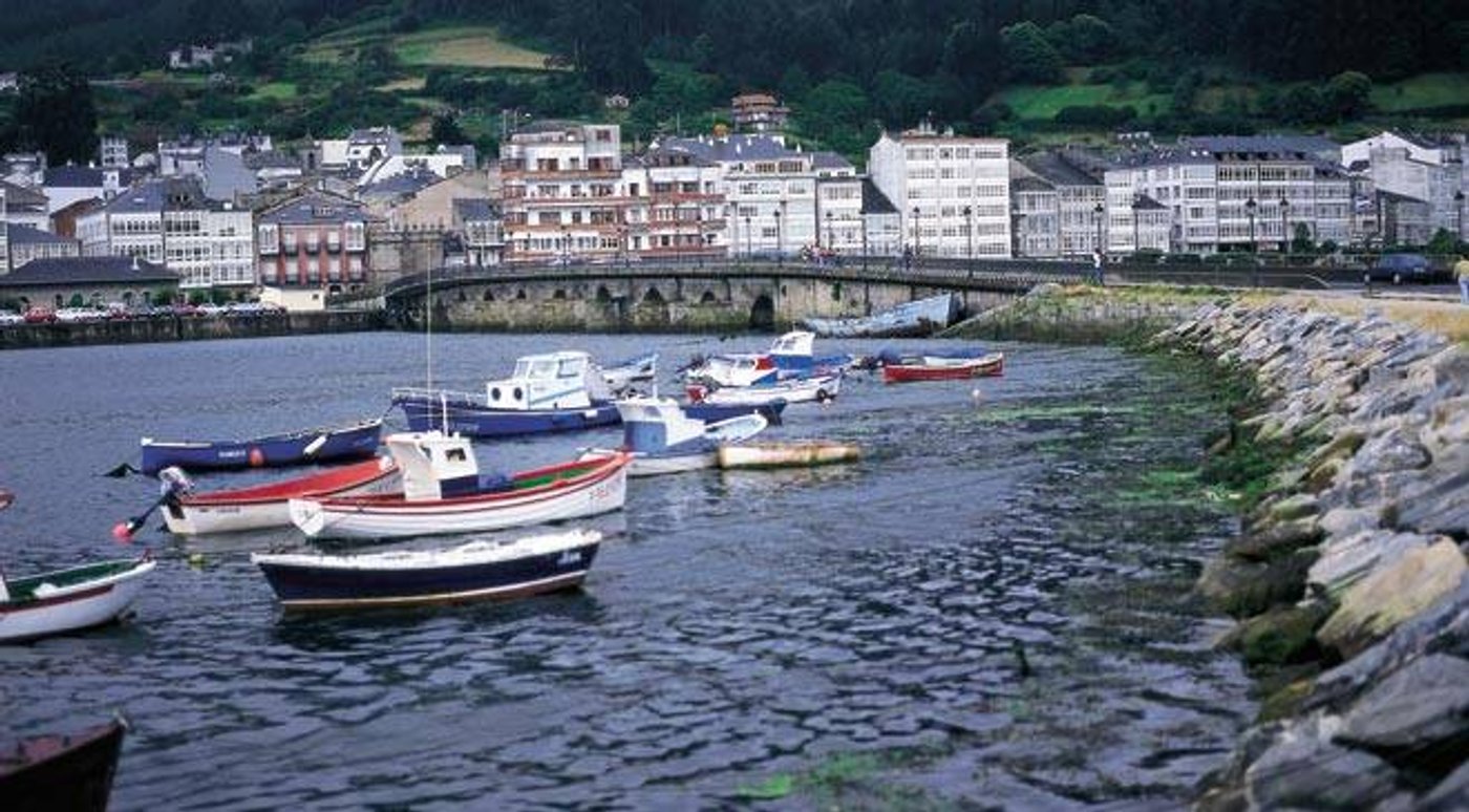 Viveiro