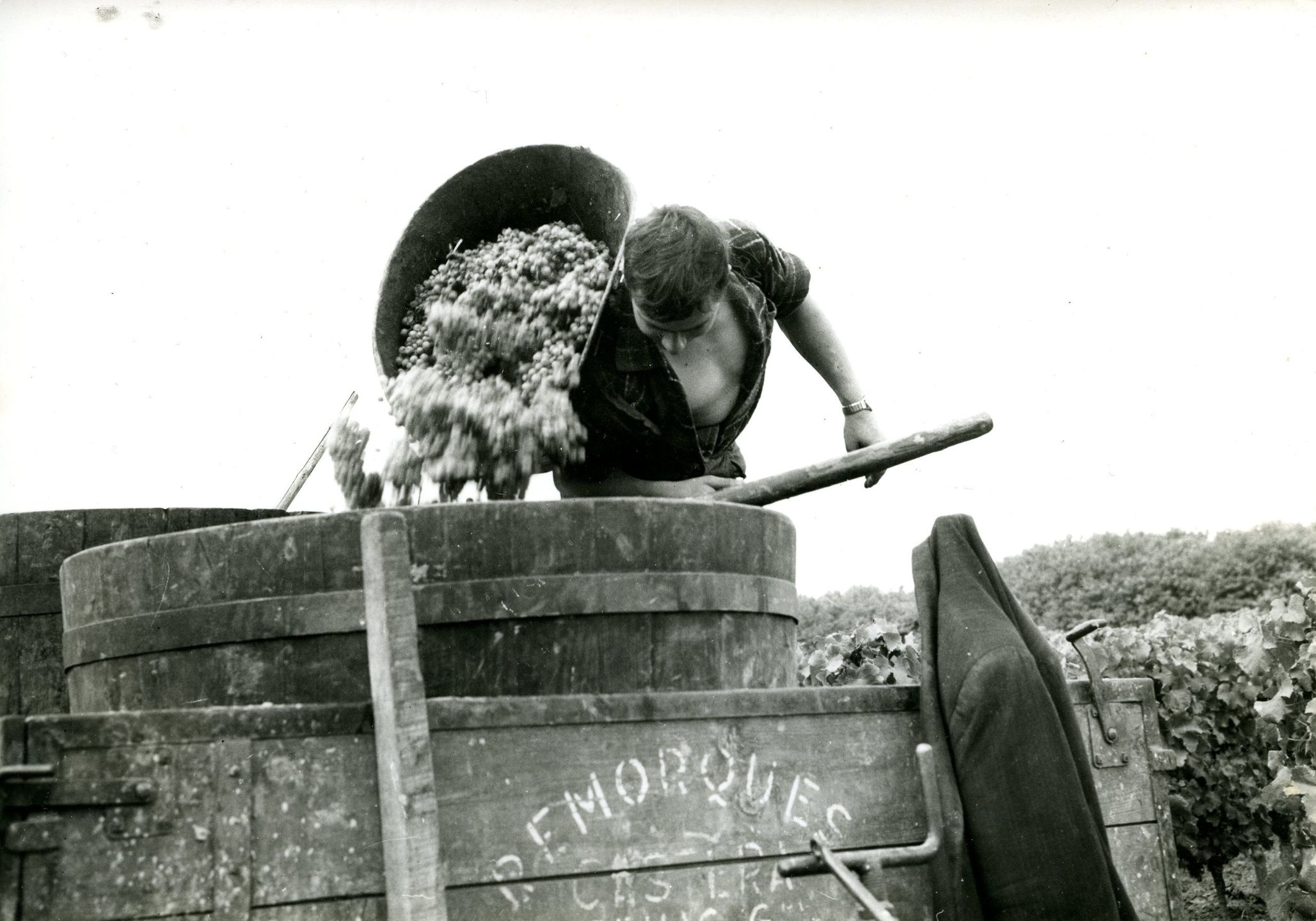 L’histoire du vignoble - Vignobles Latorse